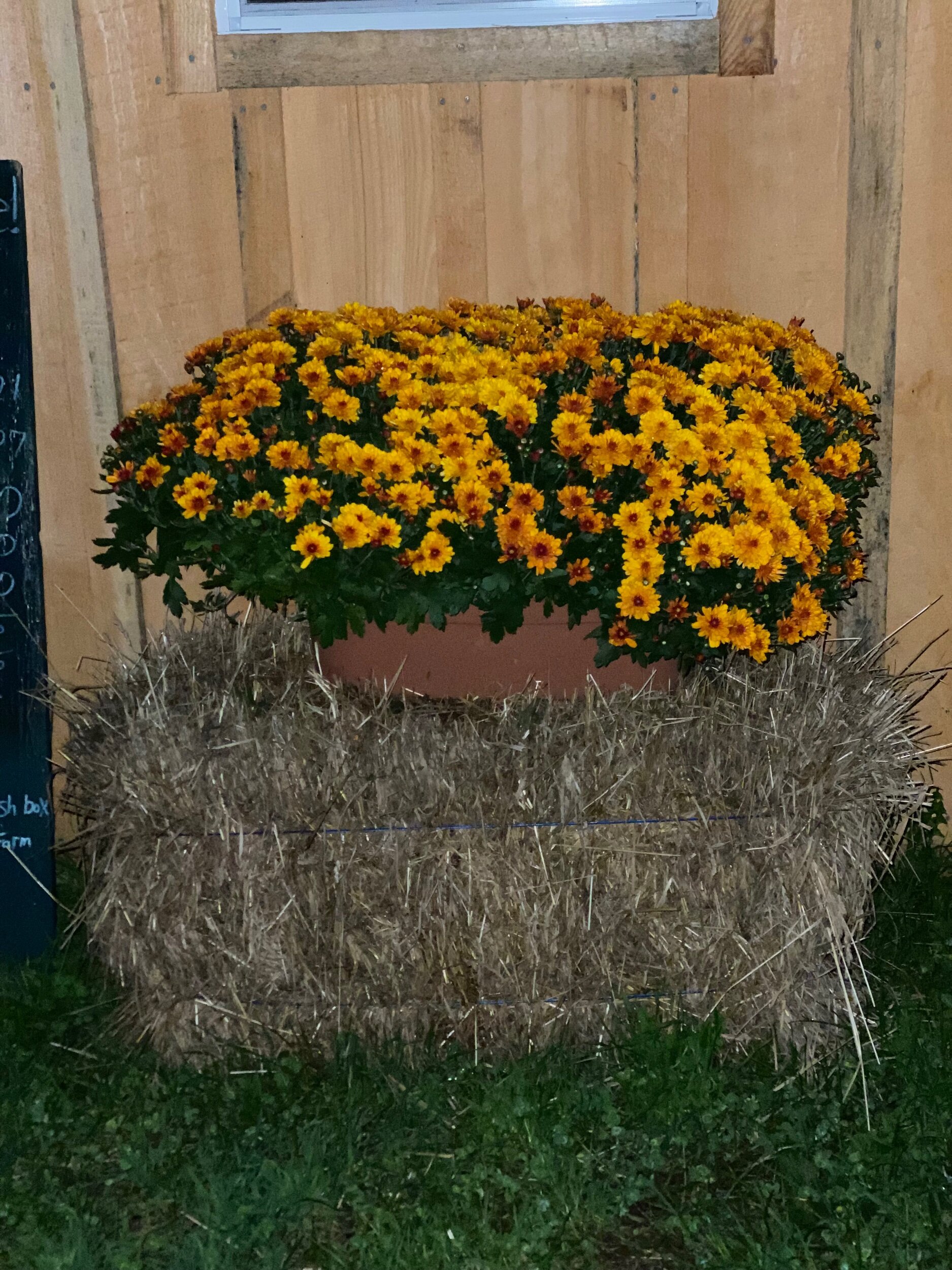 D1431062-D18B-420B-84D1-0CBFBDFE281F