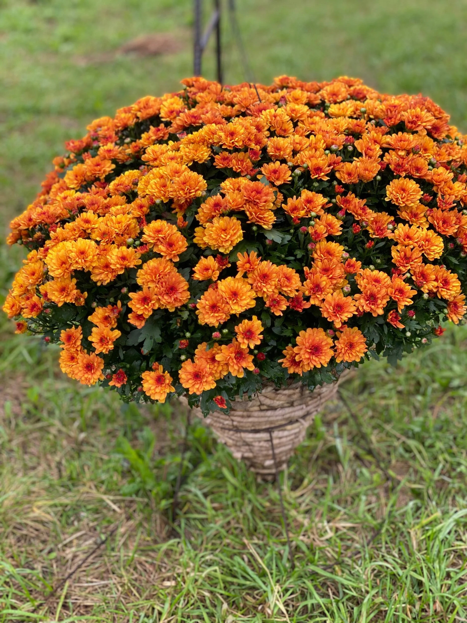 09FB94D4-C402-4078-B774-E1081CDE5363