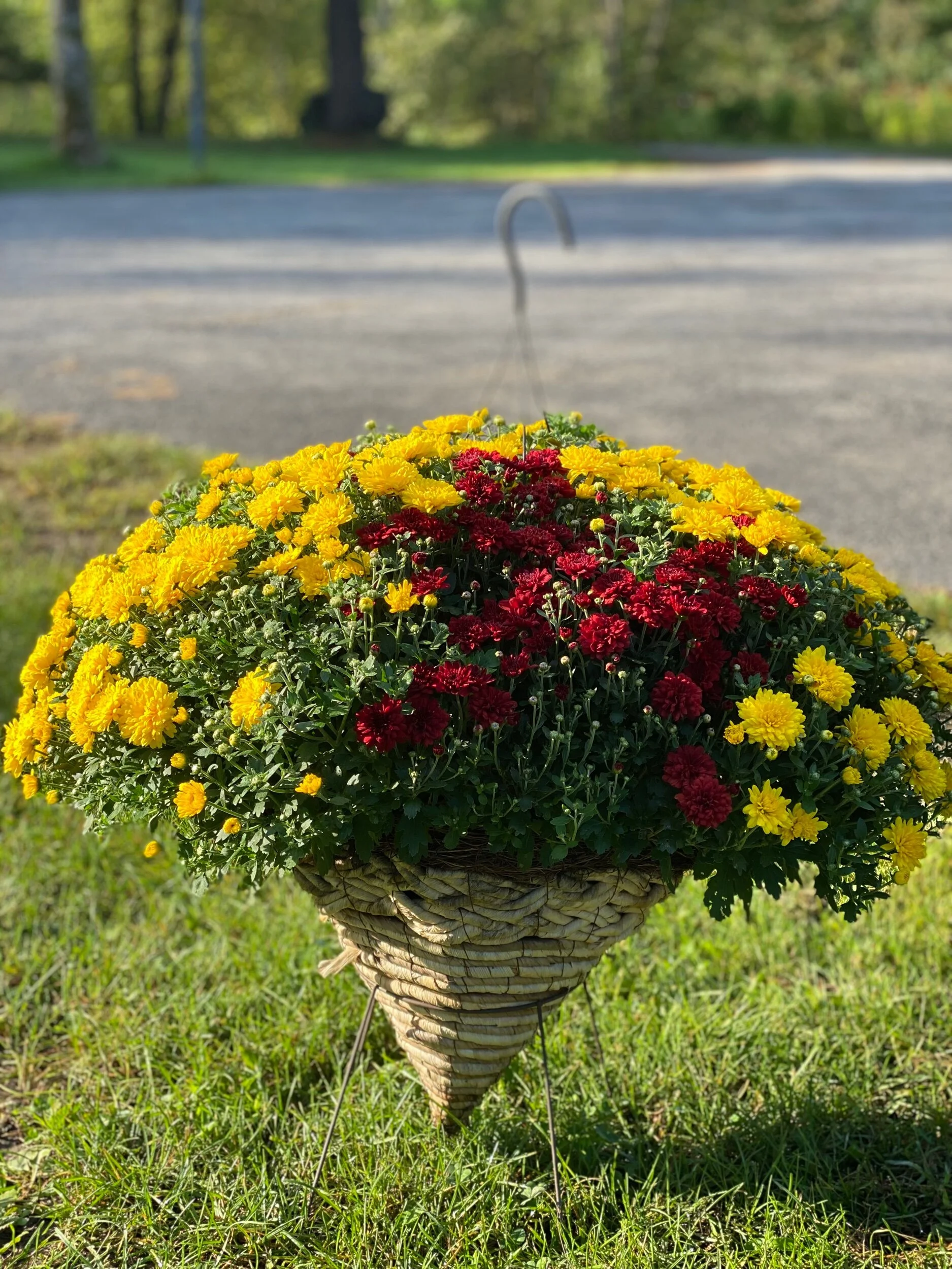 7590677D-5A42-4CDF-B2AC-AAB066A61FA8