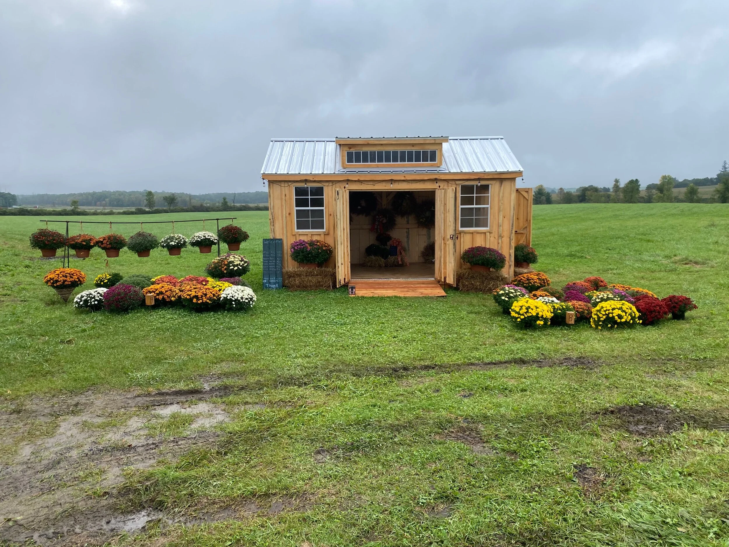 FD949560-FDF2-40F3-A08E-0CF47F997391