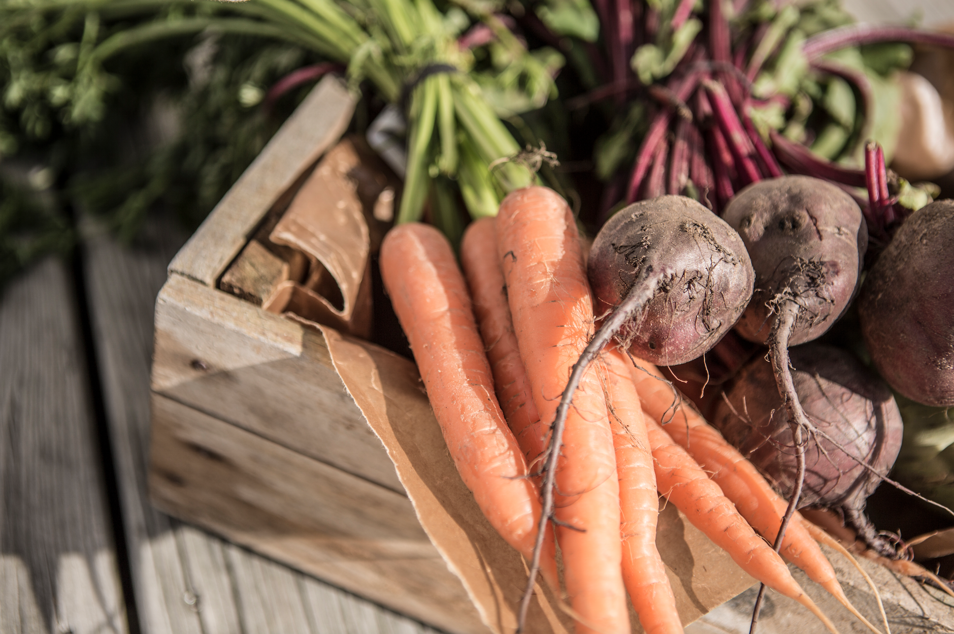 Skärmavbild 2018-09-01 kl. 18.13.07.png