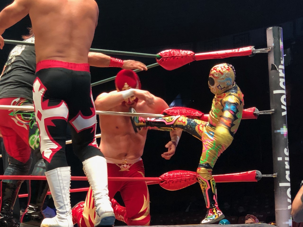 luchalibre.jpg