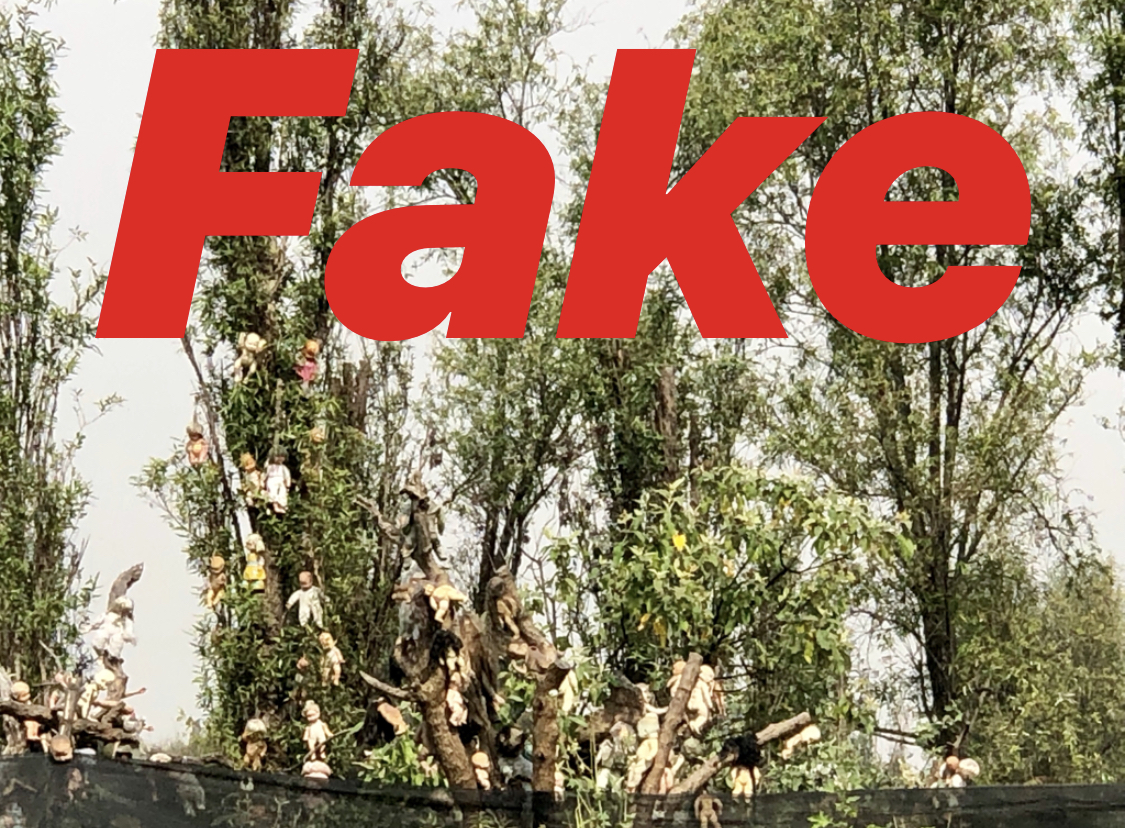 fakedollisland.jpg