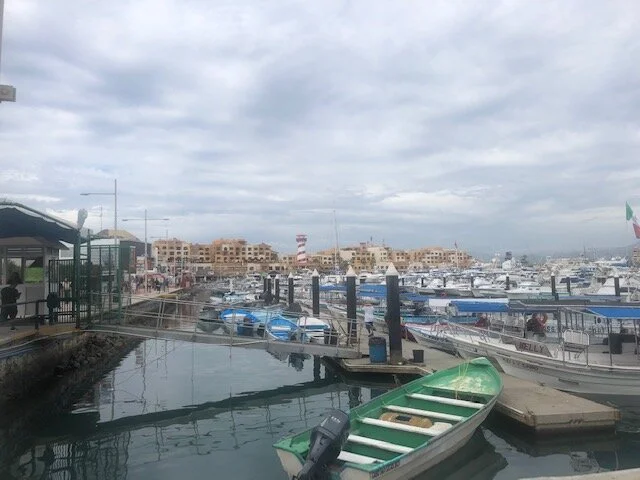 Christmas in Cabo San Lucas | Travel Blog — The Clipboard of Fun