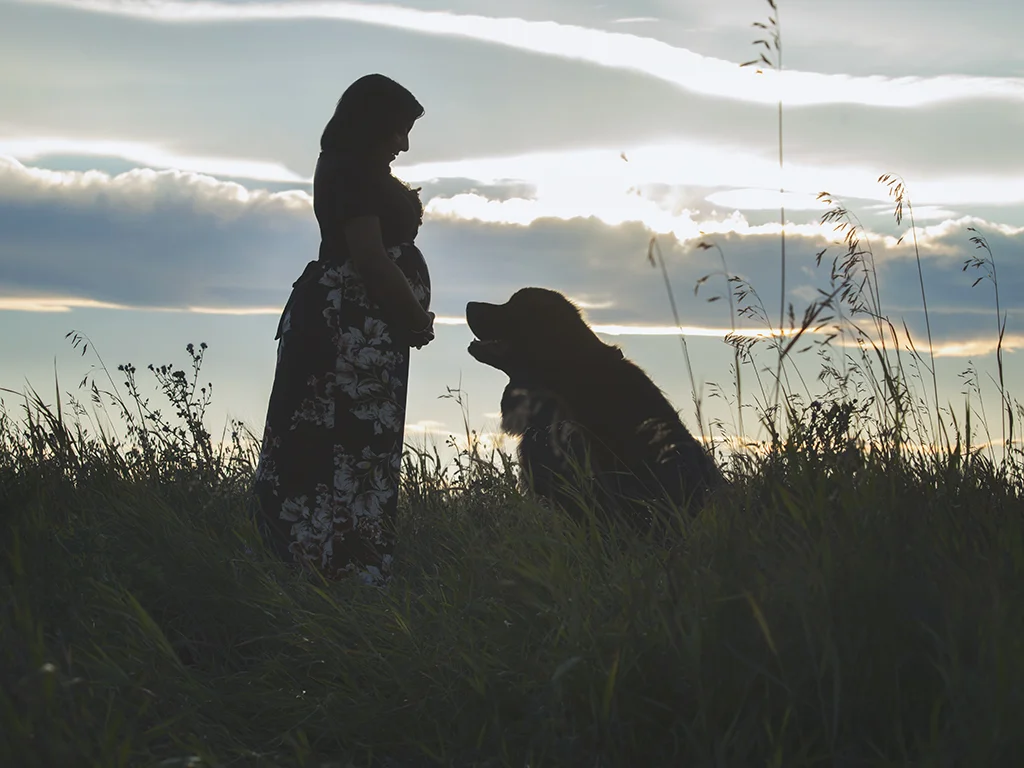 maternity-photo.jpg