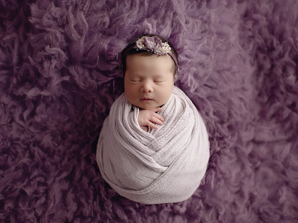 newborn portraiture.jpg