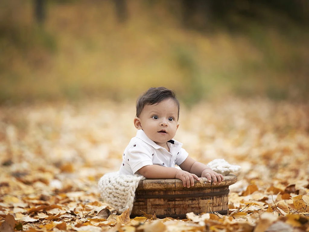 fall sessions.jpg