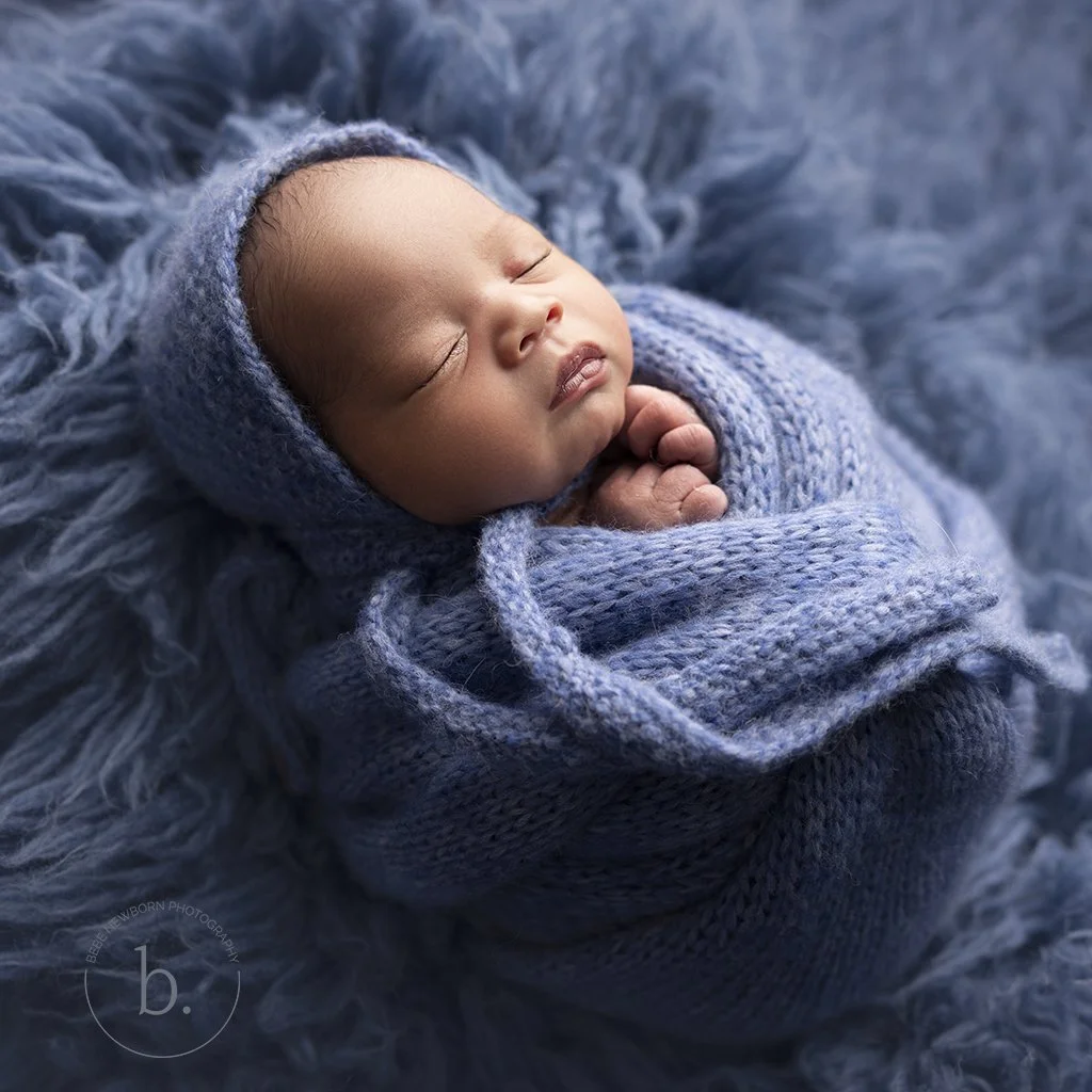 newborn portraits.jpg