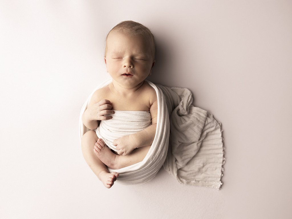 newborn portraits.jpg