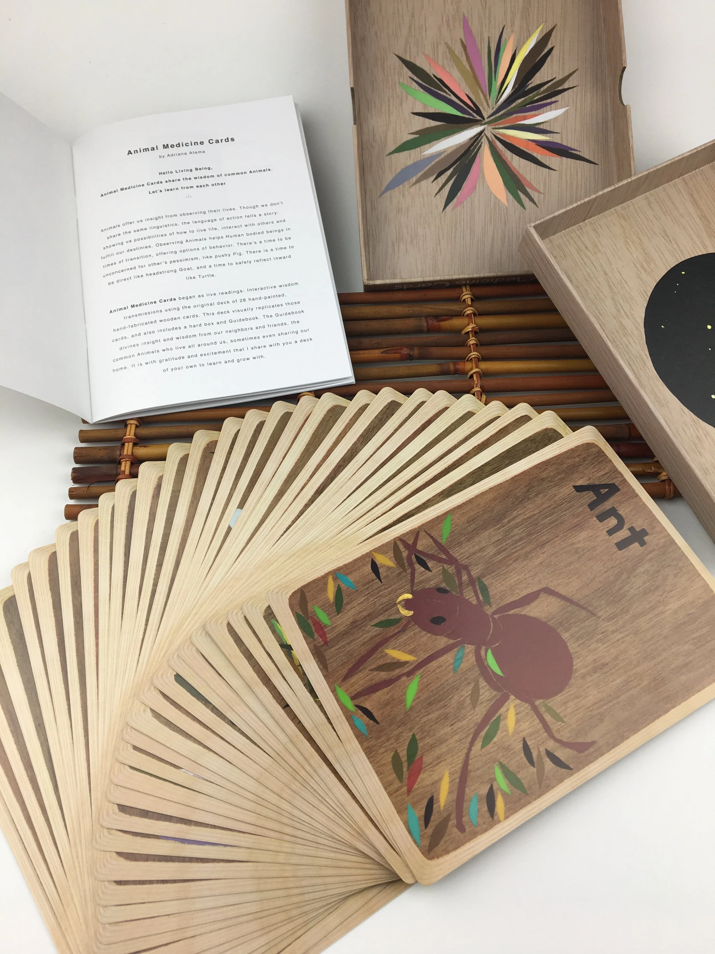 Animal Medicine Cards — Animal Medicine Cards