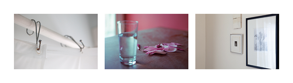 09_Petals and Glass.jpg
