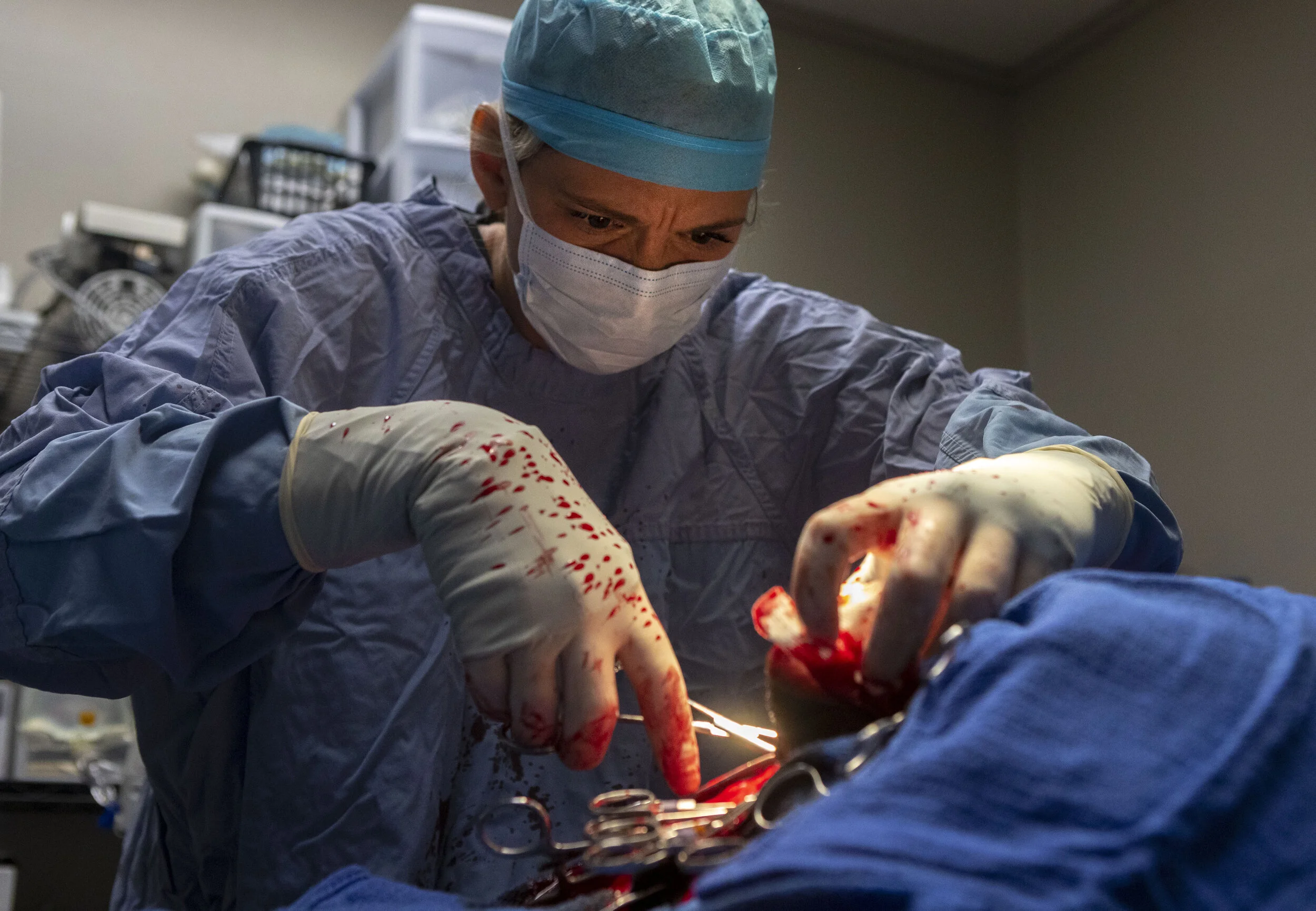  Dr. Erin Schroeder works to surgically removes a tumor from Maggie the dog’s leg at the Cedar County Veterinary clinic on Tuesday, July 9, 2019, in Hartington, Nebraska.  