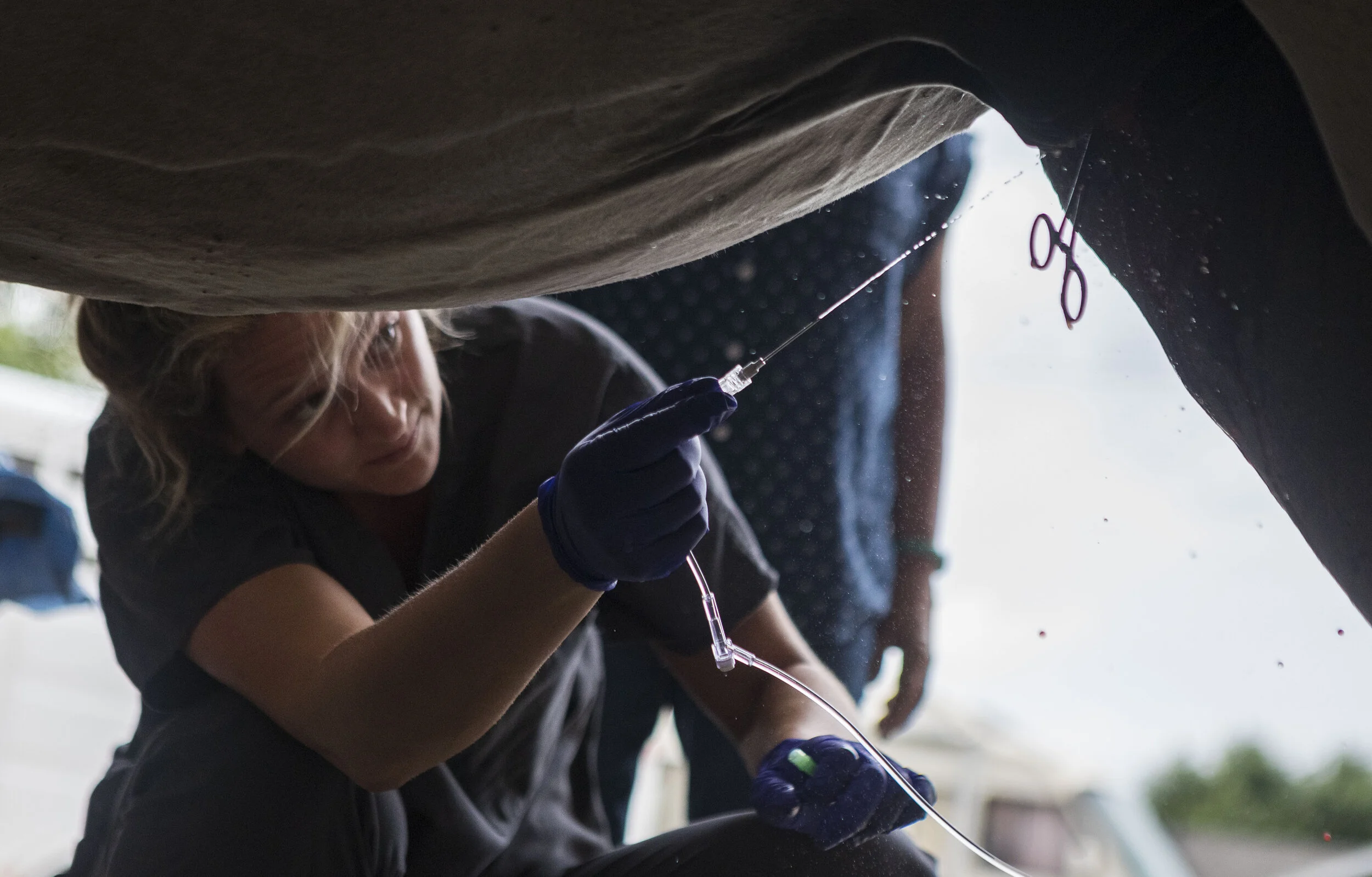  Dr. Erin Schroder sprays down a horse with iodine after popping its abscess at Cedar County Veterinary Services on Monday, Jun. 10, 2019, in Hartington, Nebraska. 