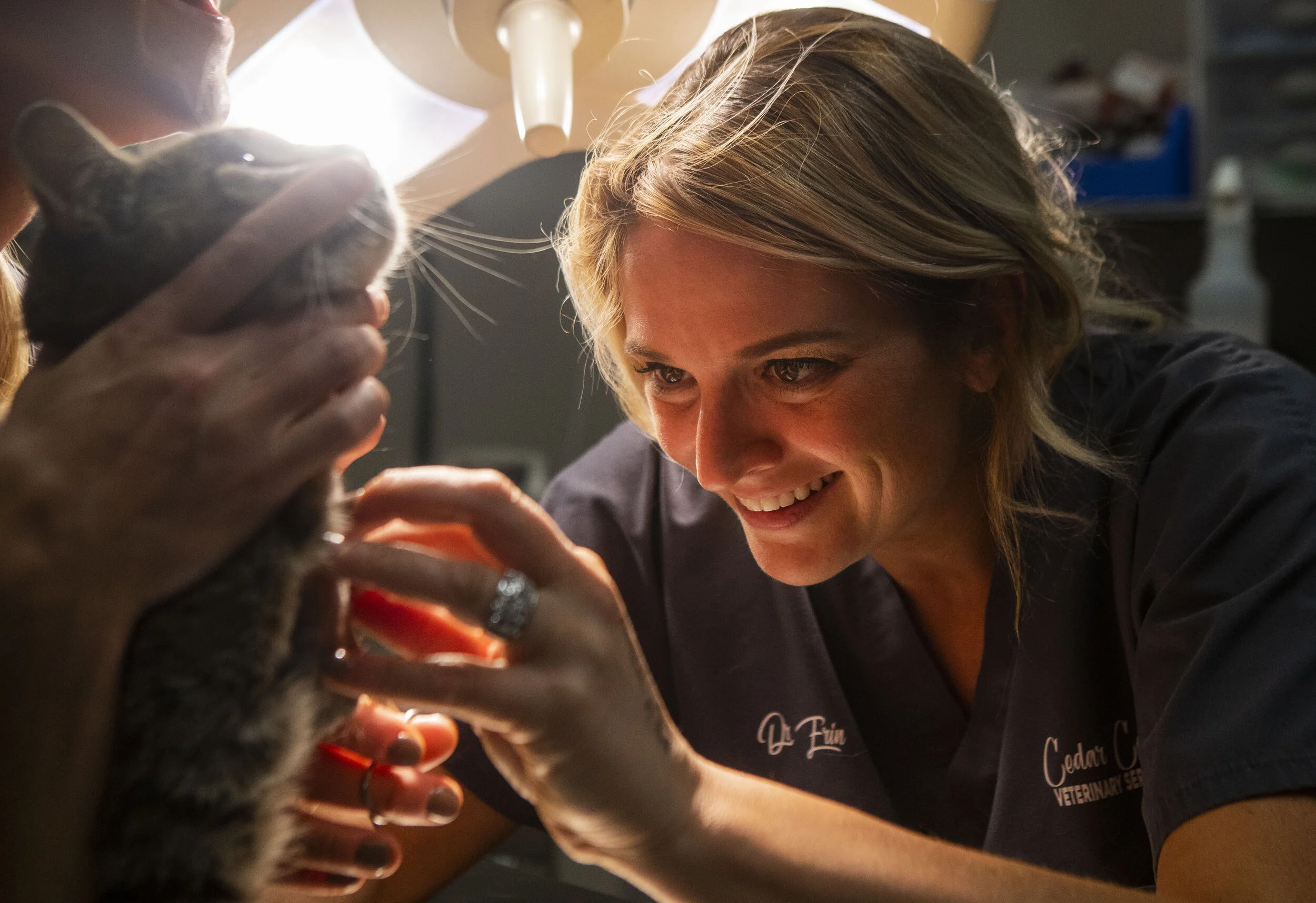 small town vet — Ferriera