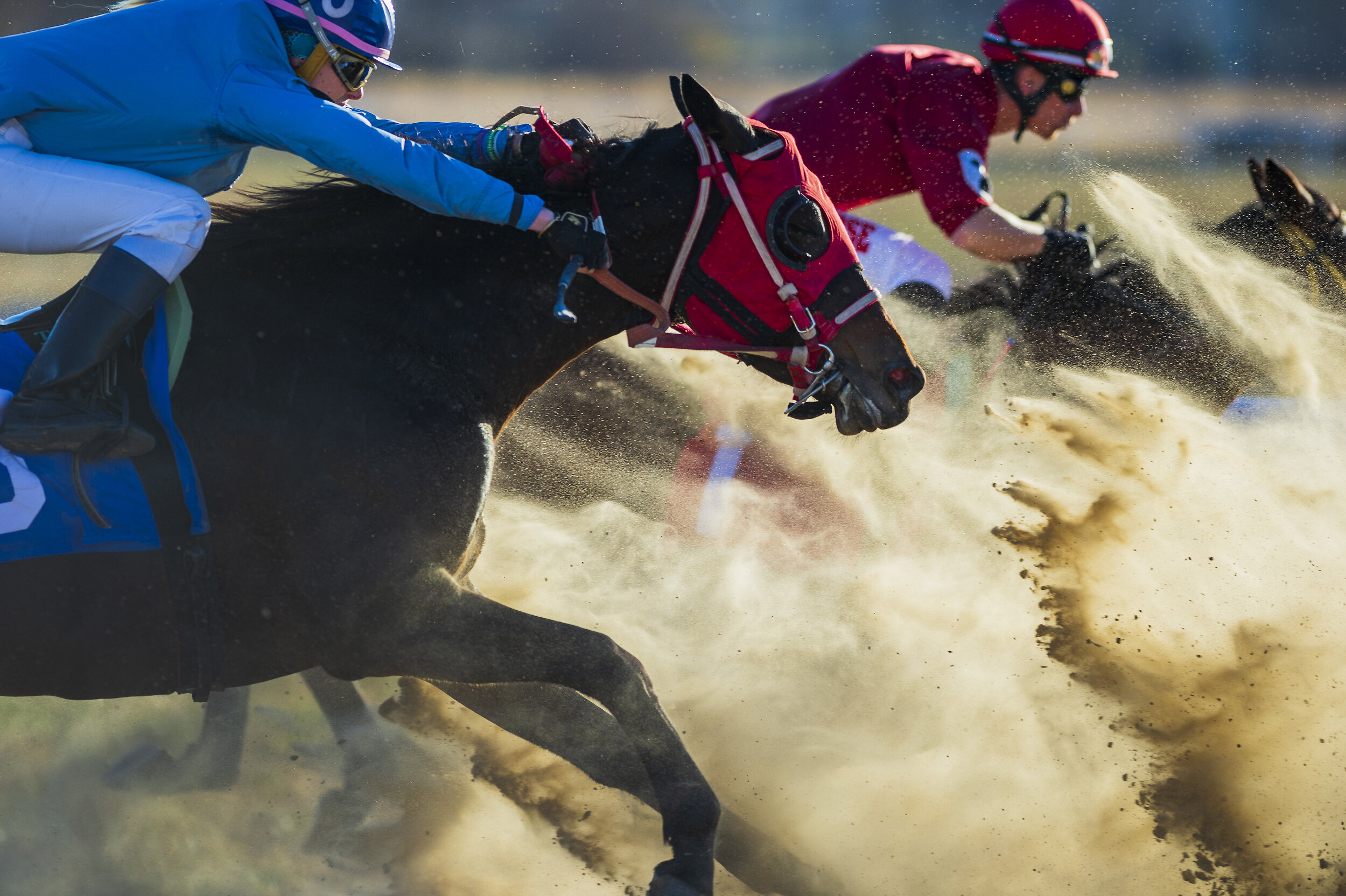  Hold Fast Kat (left), ridden by Tara Hynes, battles for position against Final Affair, ridden by Jake Olesiak, on the final day of live horse racing at the Lincoln Race Course on Monday, November 02, 2020, in Lincoln, Nebraska. KENNETH FERRIERA, JOU
