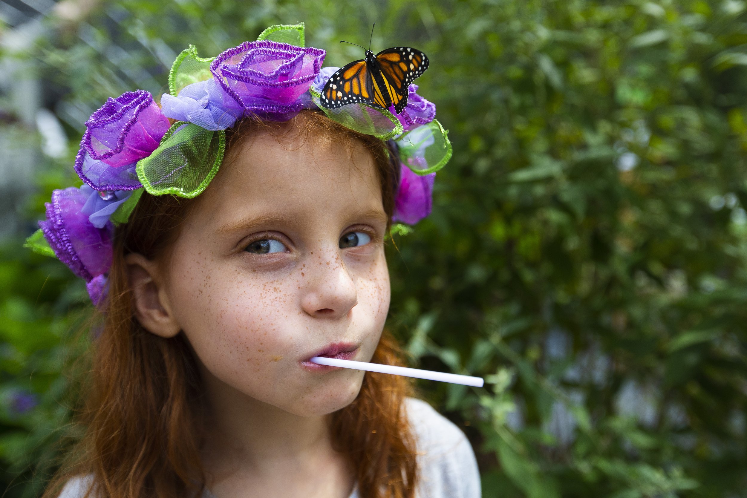  Madeline Parker tries not to move after a Monarch Butterfly lands on her flower crown during a trip inside of the flight house at All-A-Flutter Farms in High Point, N.C., on Saturday, August 7, 2021.     