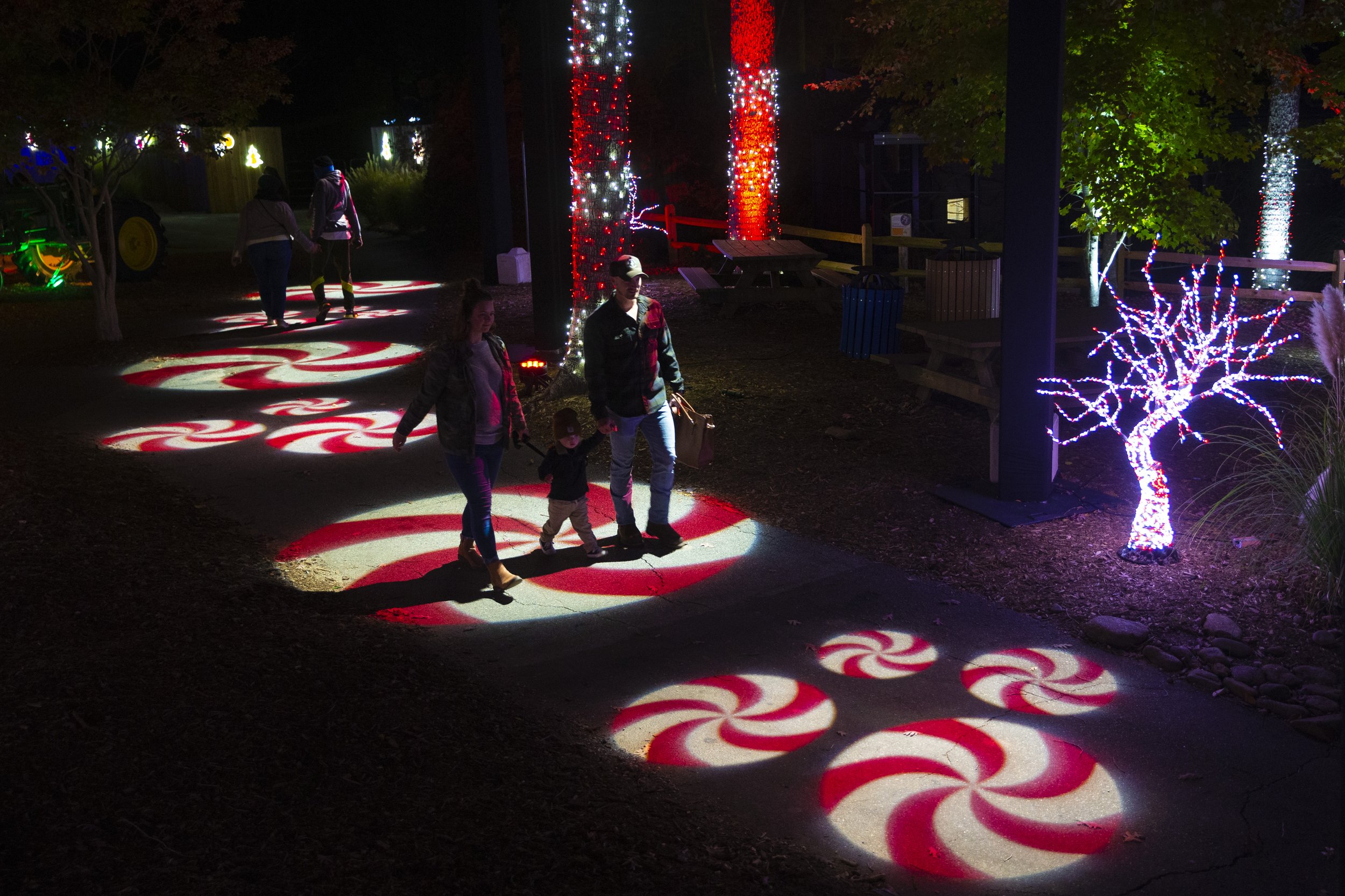  Visitors make their way down a peppermint path projected on the ground on the opening night of Winter Wonderlights at the Greensboro Science Center in Greensboro, N.C., on Saturday, November 6, 2021.  