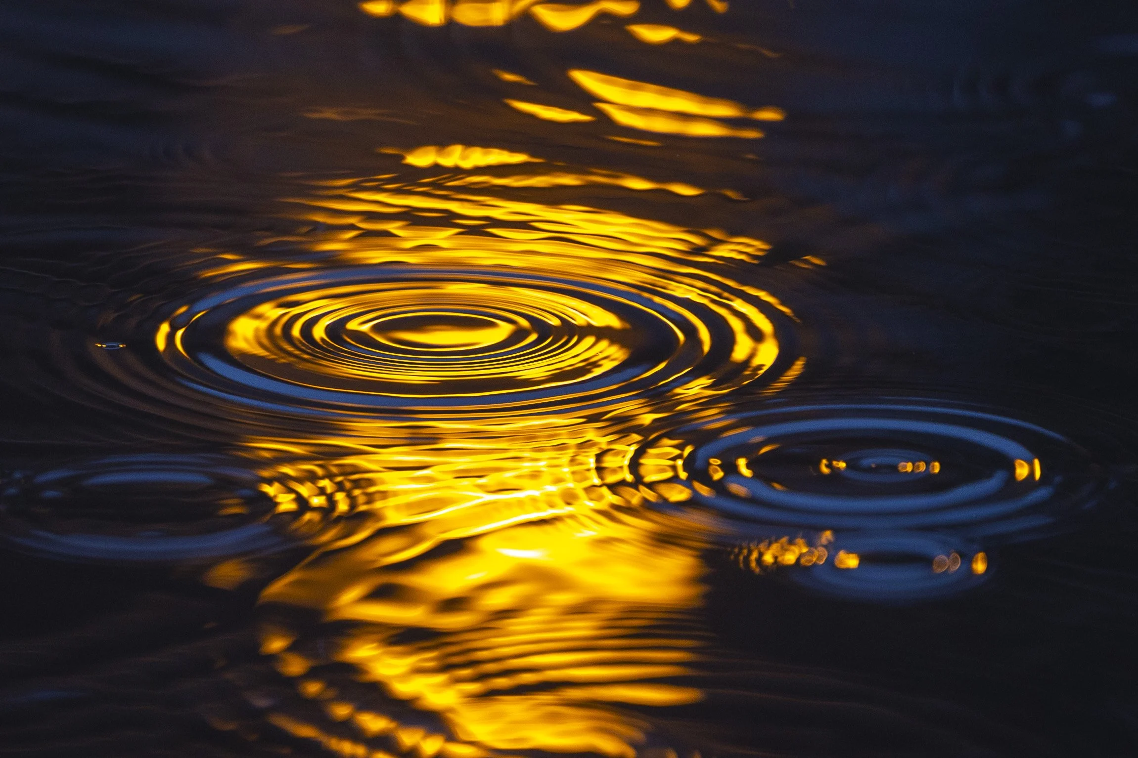  Rain droplets strike a puddle where a nearby street light is reflected in the water, in central Lincoln on Thursday, March 14, 2024. 