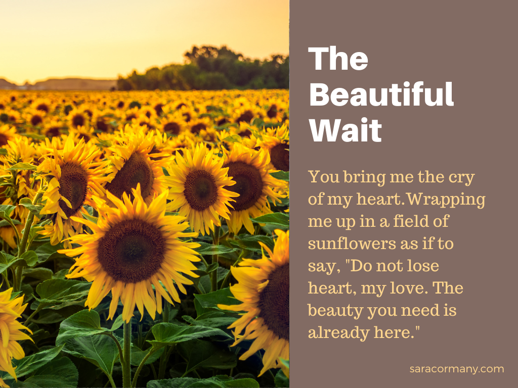 A Beautiful Wait — Sara Cormany