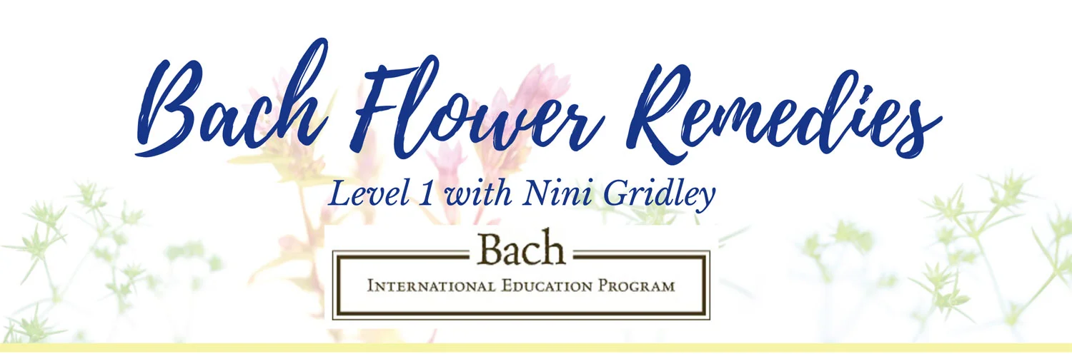 BachFlowers_Level1_Header.jpg