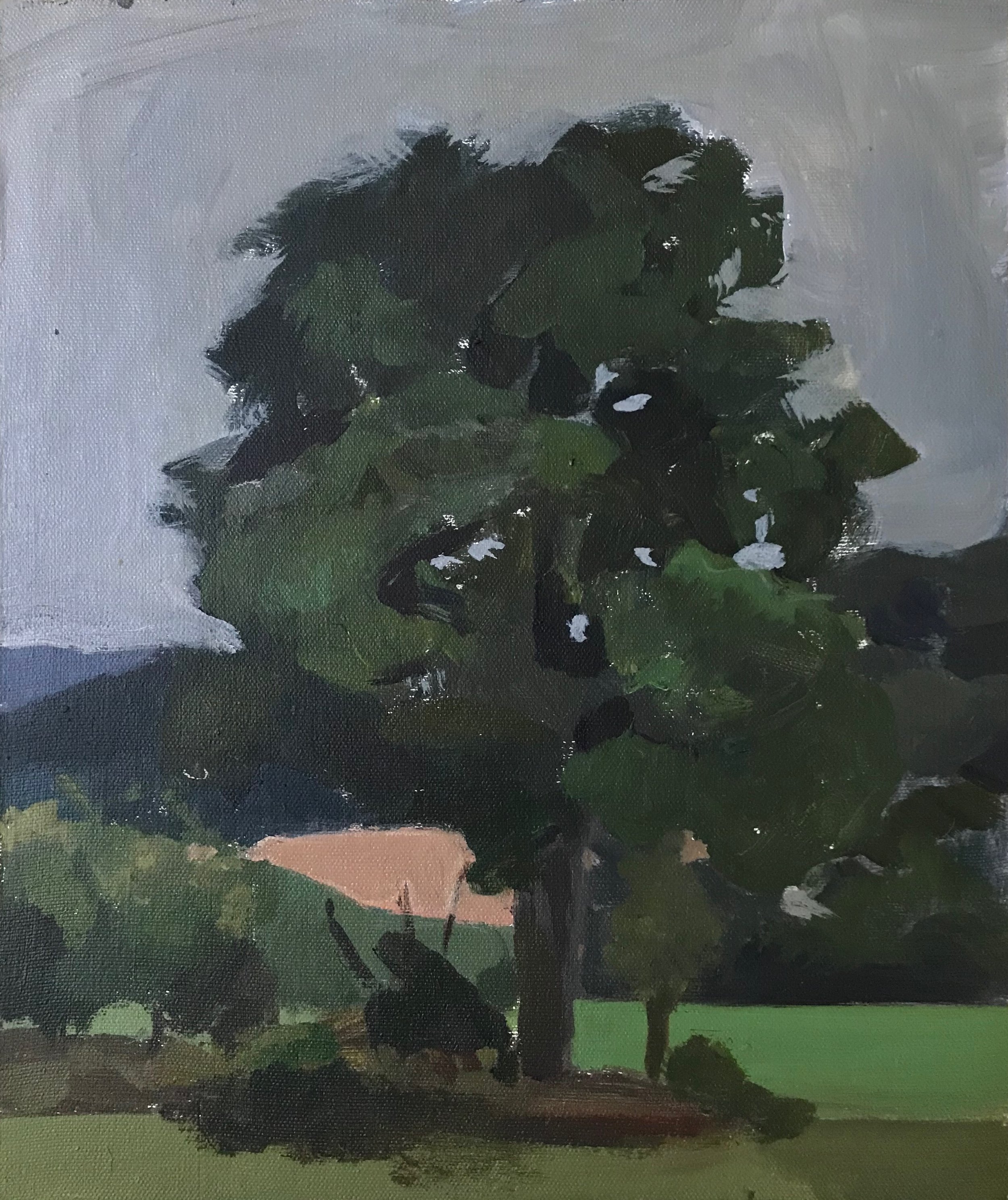 Pink Peeks Through.jpeg