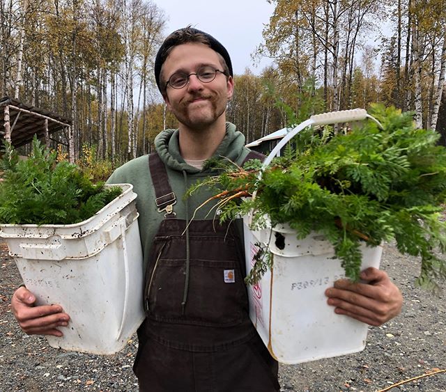 We logged 224 volunteer hours during Harvest weekend at G2A. Thank you to all our volunteers ❤️ .
.
.
#harvestseason #harvest #alaskagrown #carrots #harvestcarrots #organicproduce #alaska #talkeetna