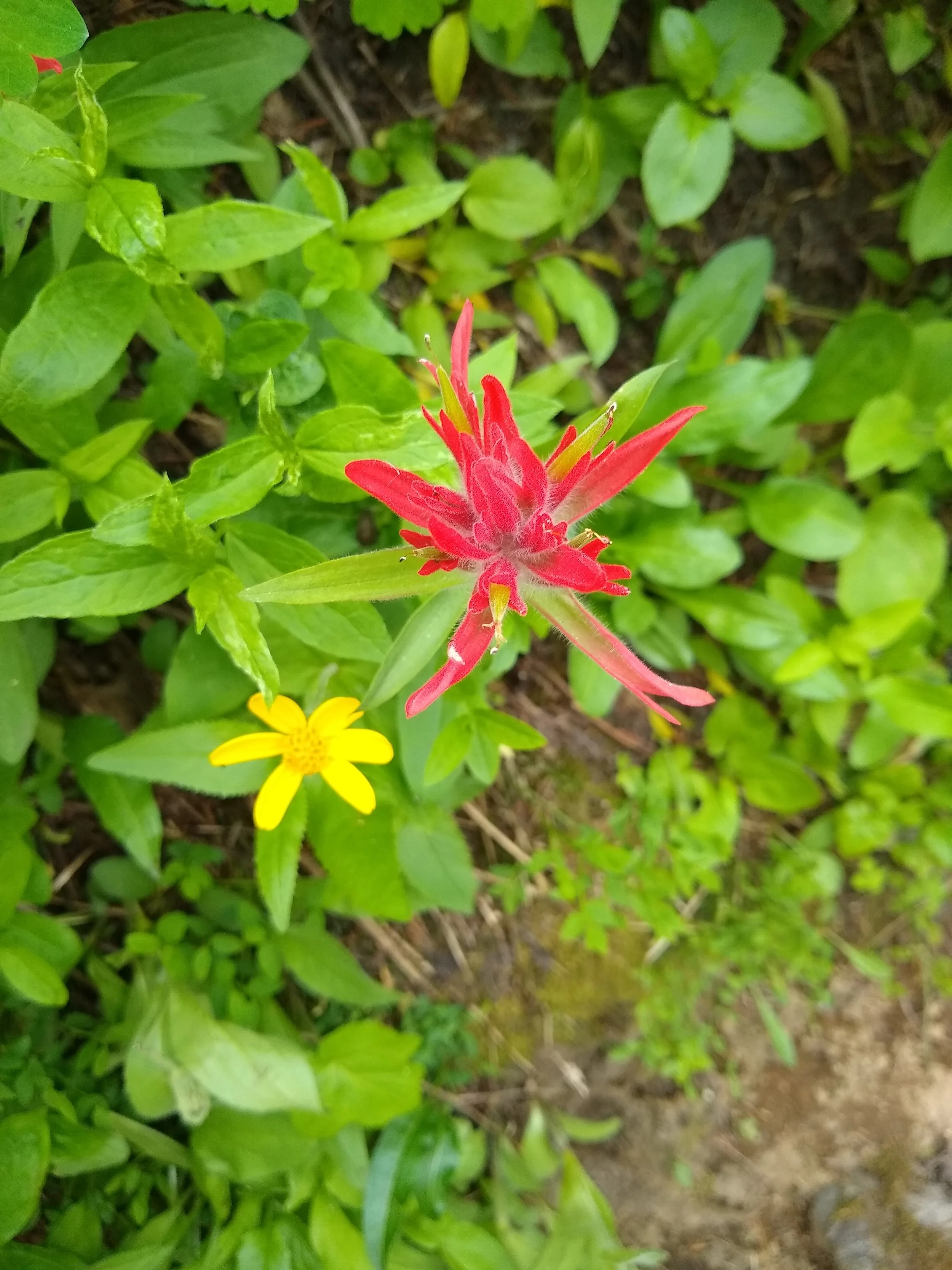 IMG_20180801_155148184.jpg