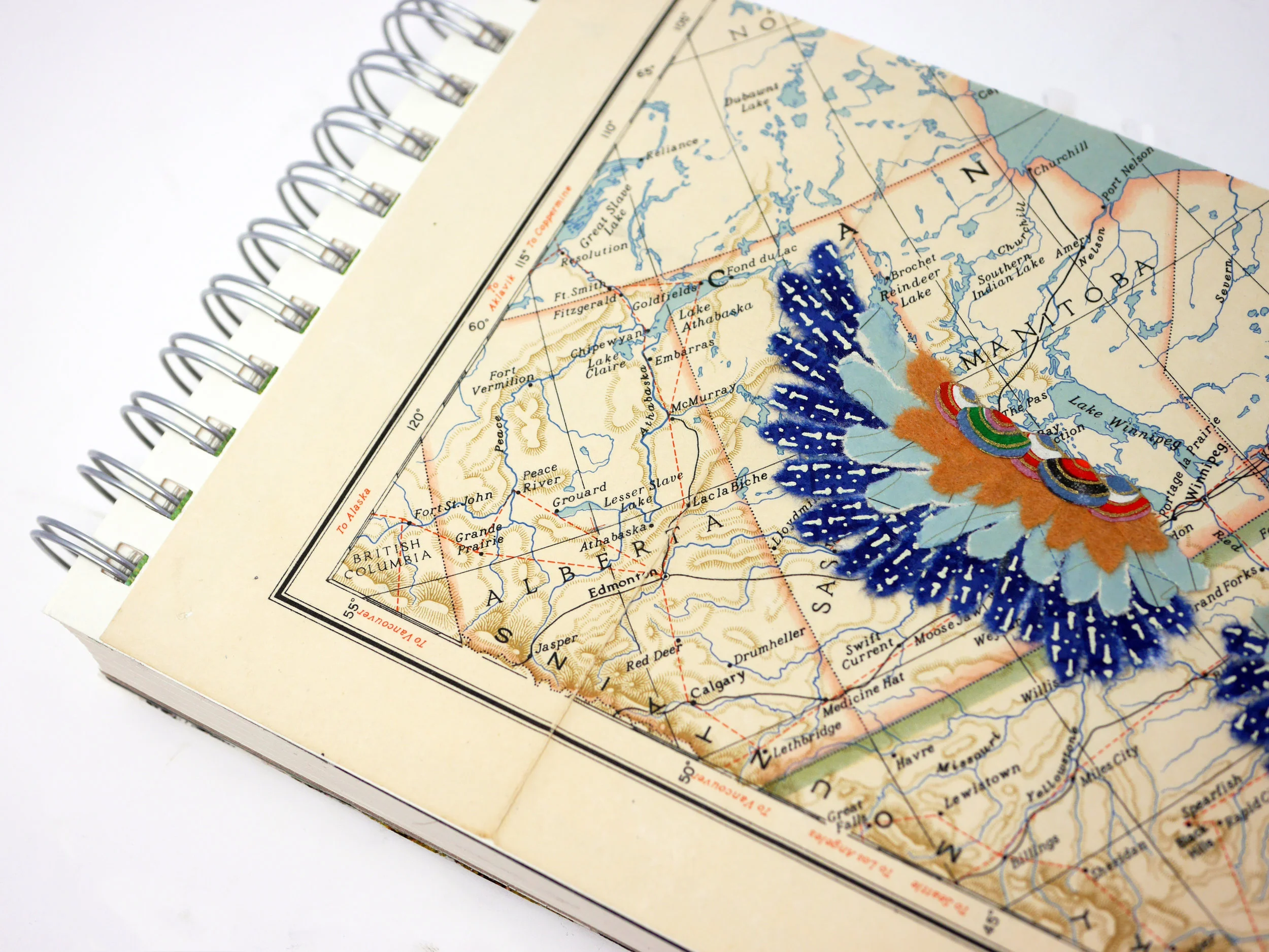 feather map close.jpg