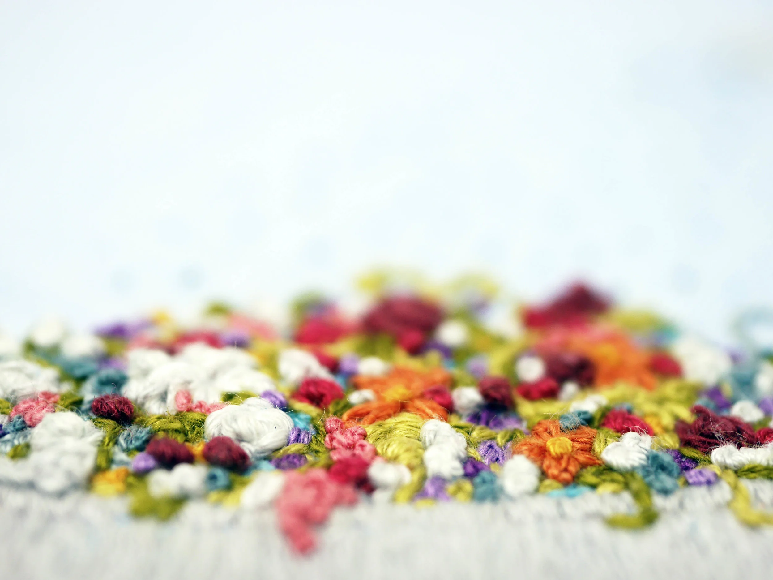 flowers close.jpg