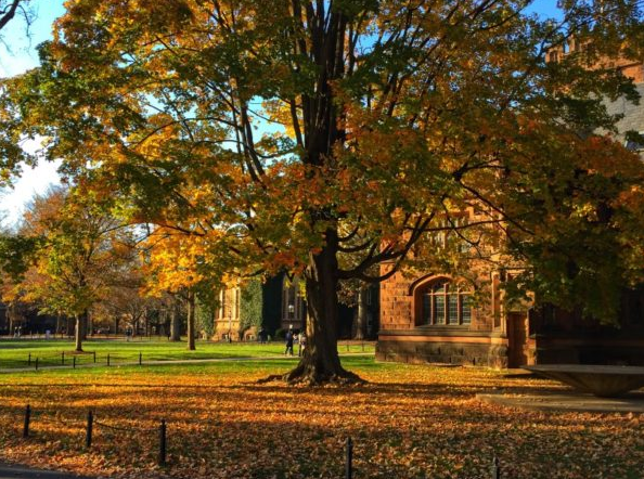 Grown and Flown: Class of 2021: What 315 College Admissions Deans are Looking for This Year