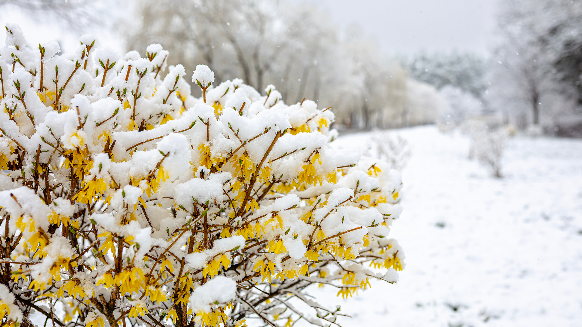 Warmth and Meaning: 4 Ways to Foster Connection in the Late Winter