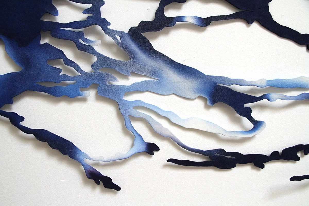 Bray_Undulation_Detail2.jpg