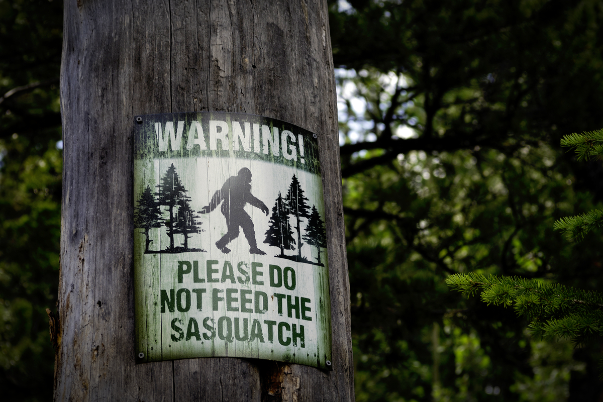 Bigfoot_Discovery_Center_By_Sharon_Keating_Shutterstock.jpg