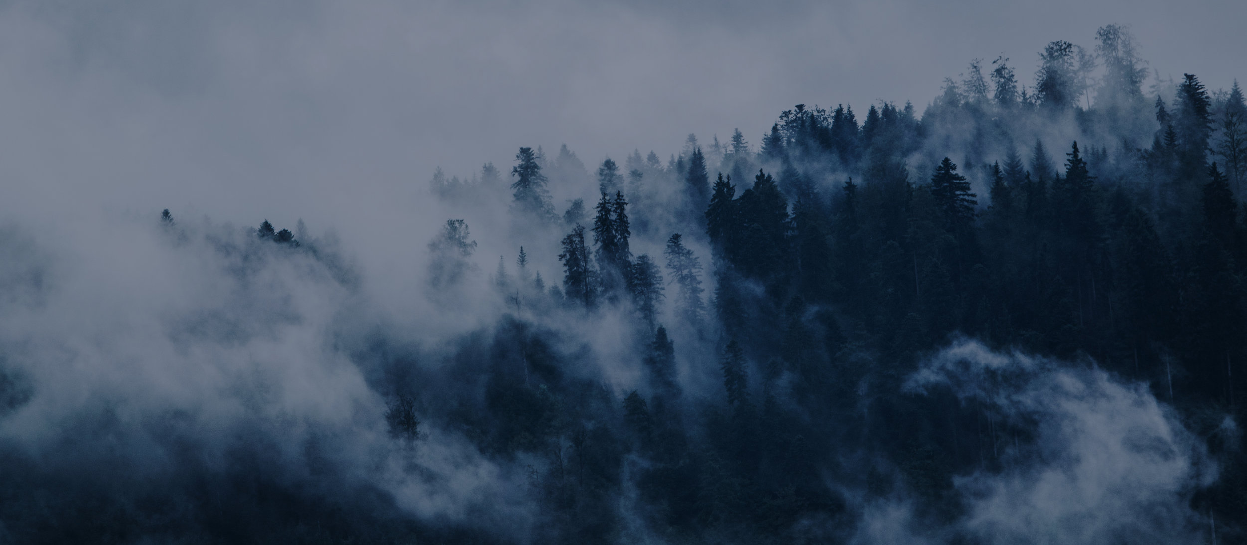 CloudTrees.jpg
