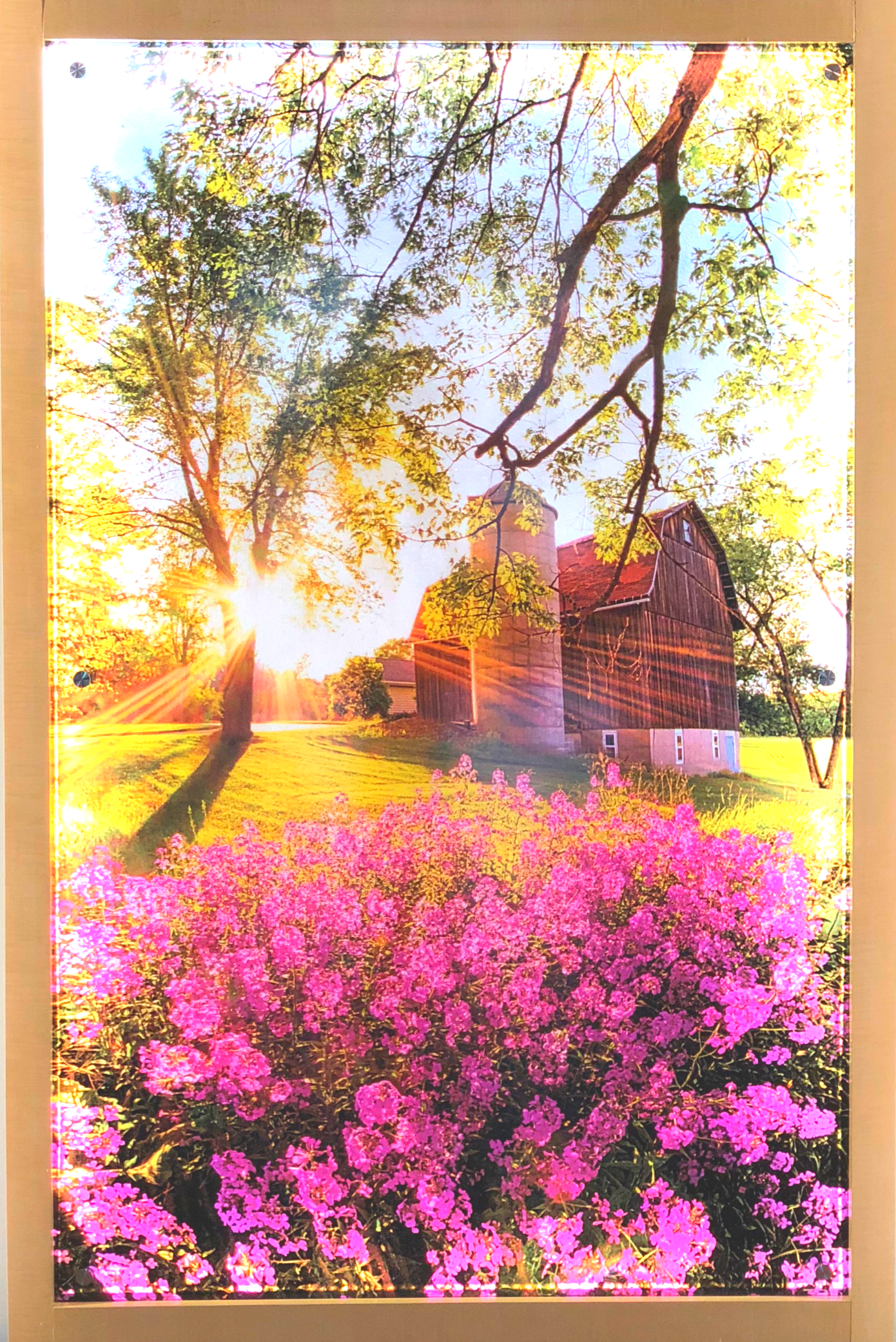 canva-photo-editor.png