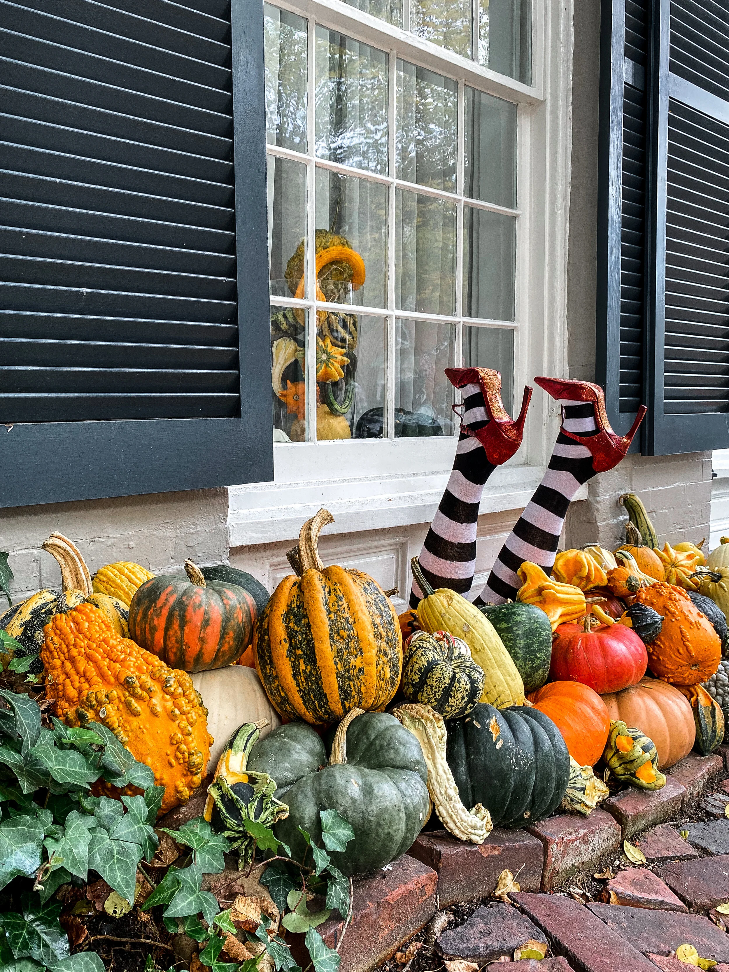 Instagrammable Fall Spots In and Around Washington, DC