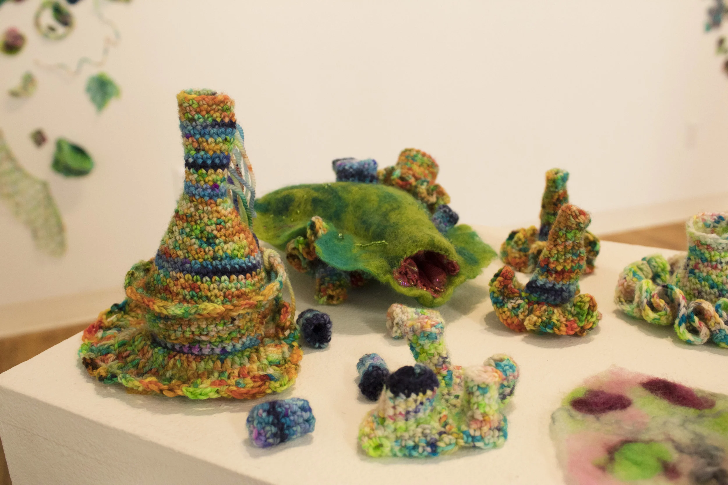 Colony of Assorted Forms.jpg