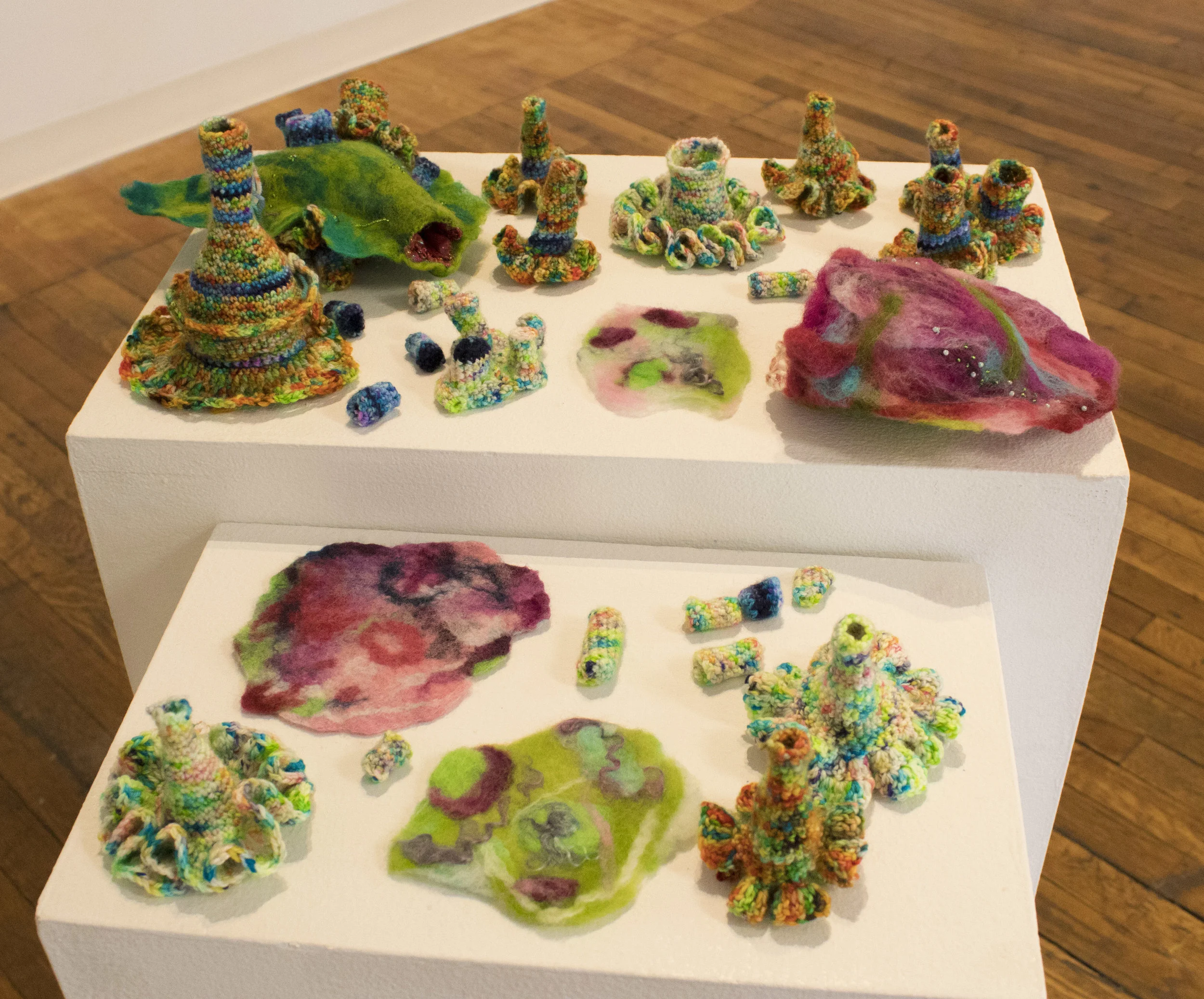 Colony of Assorted Forms 2.jpg