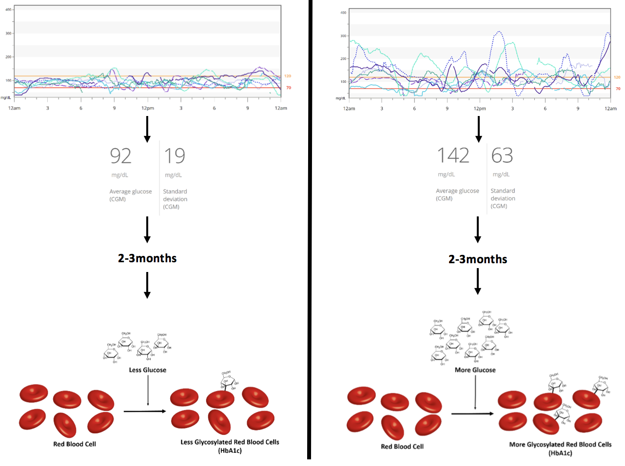 Figure 4 Daily Blood Glucose’s Influence on HbA1c Levels. With higher average blood glucose values, HbA1c increases