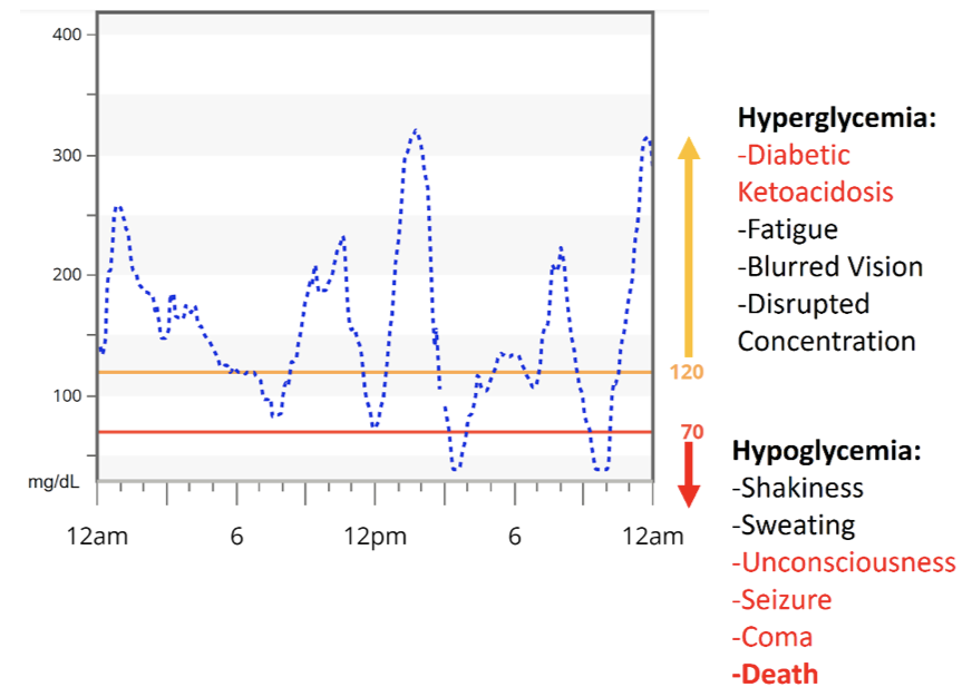 Figure 10 Type-1 Diabetic 24-Hour Blood Glucose Tracing. Taken from Section 1-Figure 9 illustrating daily blood glucose trends and subsequent symptoms of hyperglycemia and hypoglycemia.