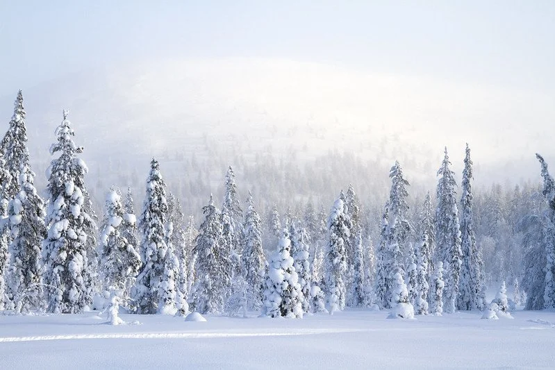 Getting Through the Holidays While Grieving