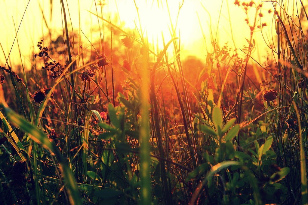 Connecting to the "Felt Sense"