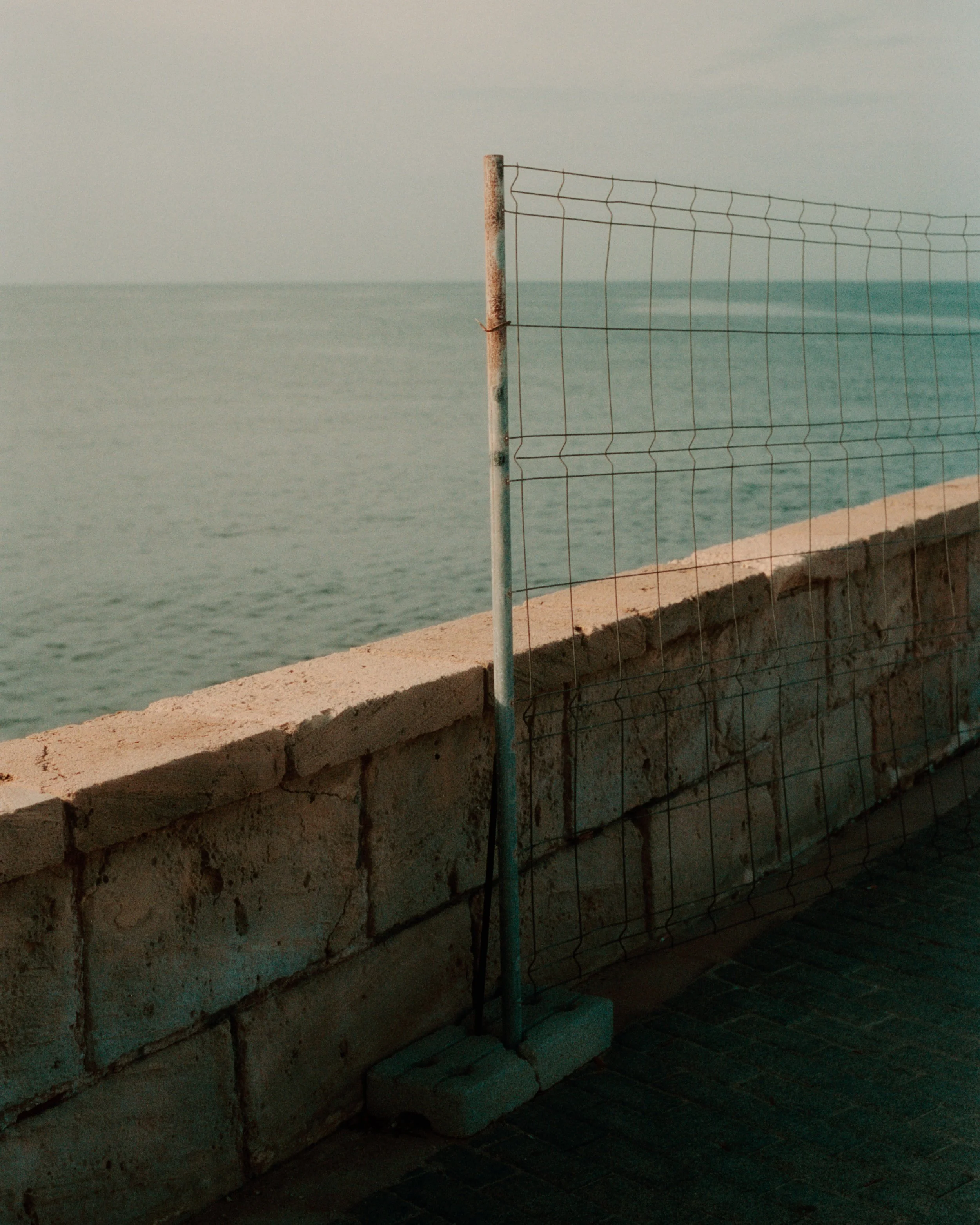JD_Mallorca_2024_ (99).JPG