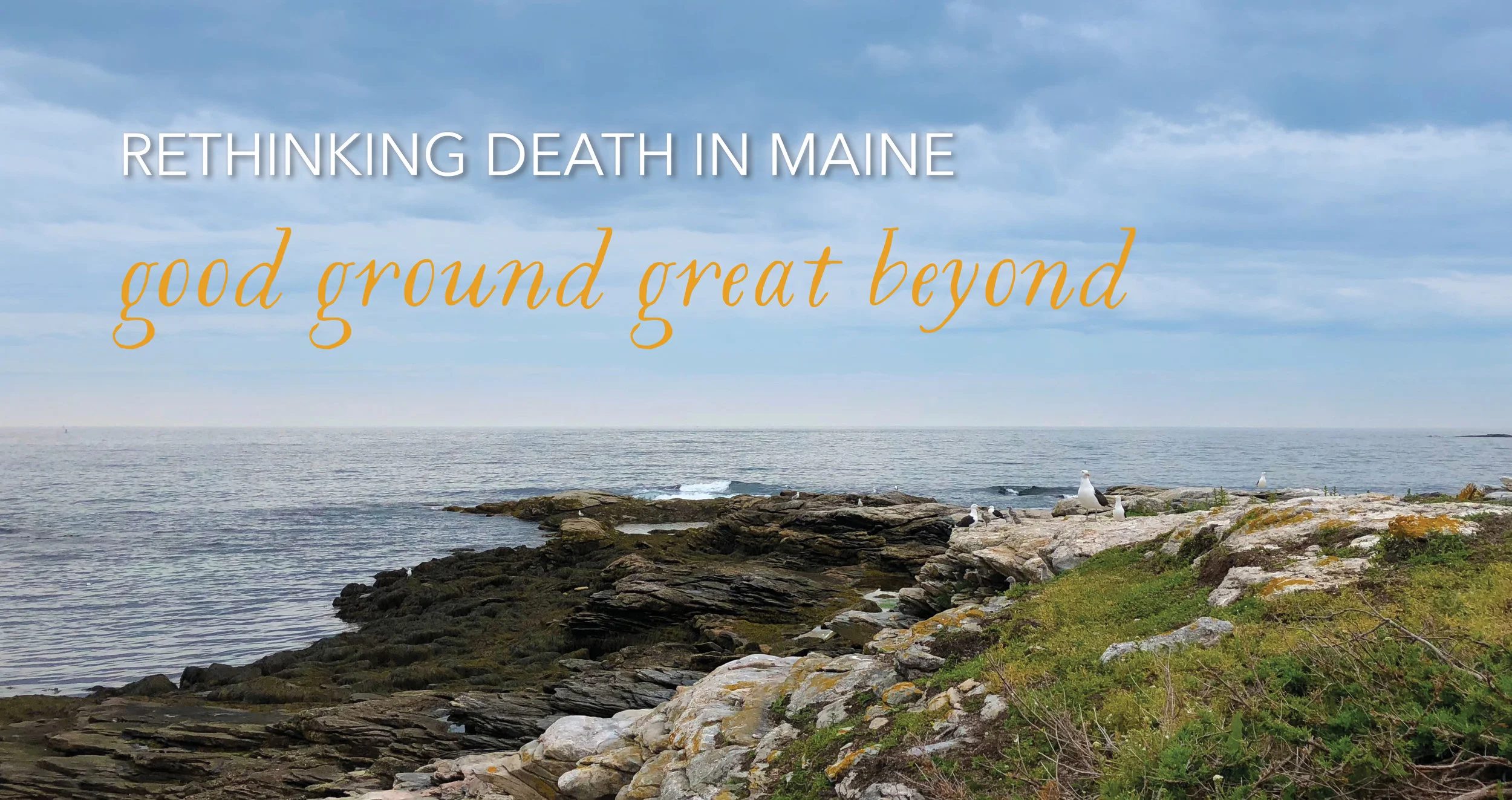 101+ Grief Quotes to Inspire and Uplift You From Loss | Eterneva, image size:2500x1323