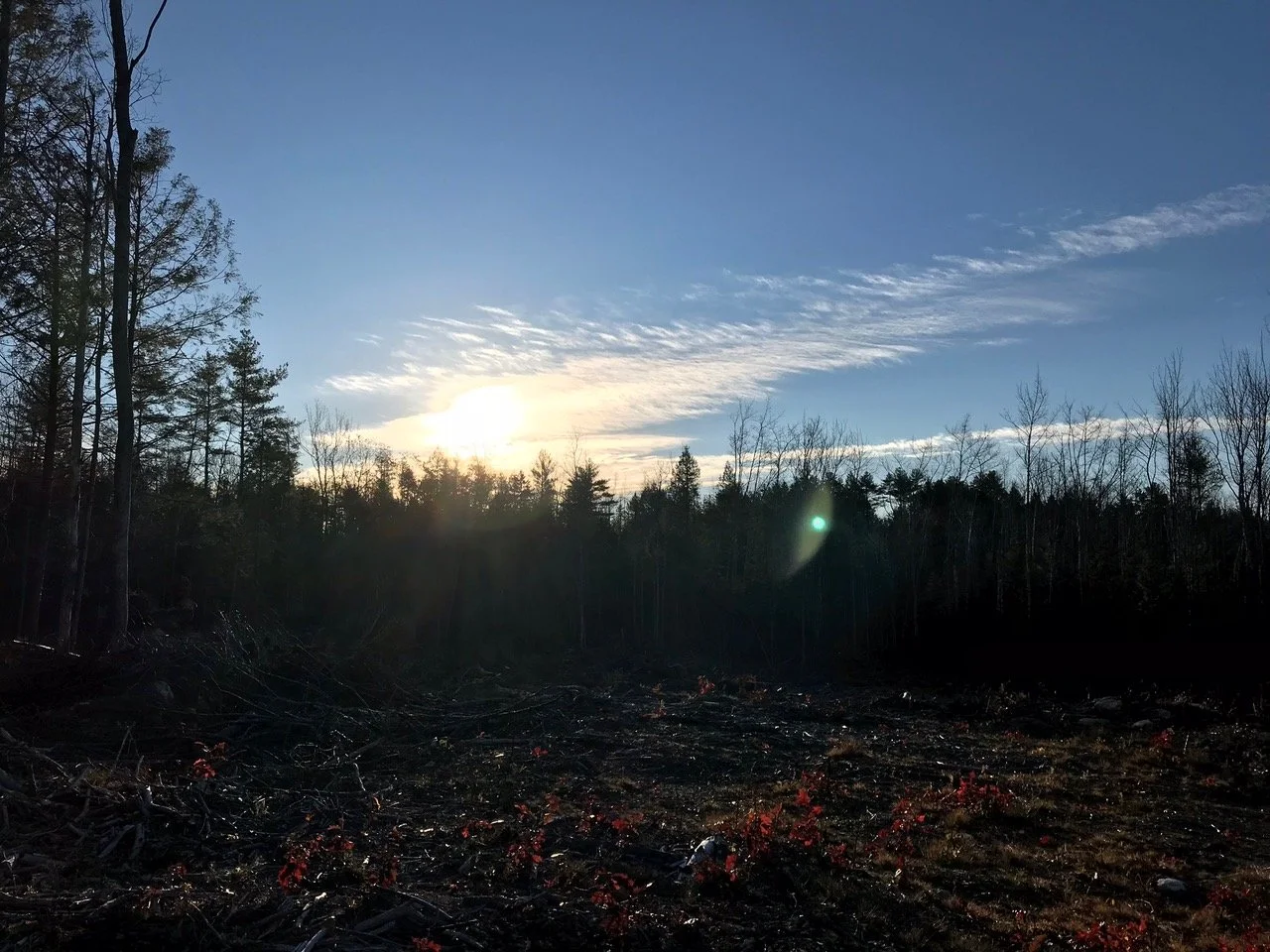 Hibernation... time to awaken.