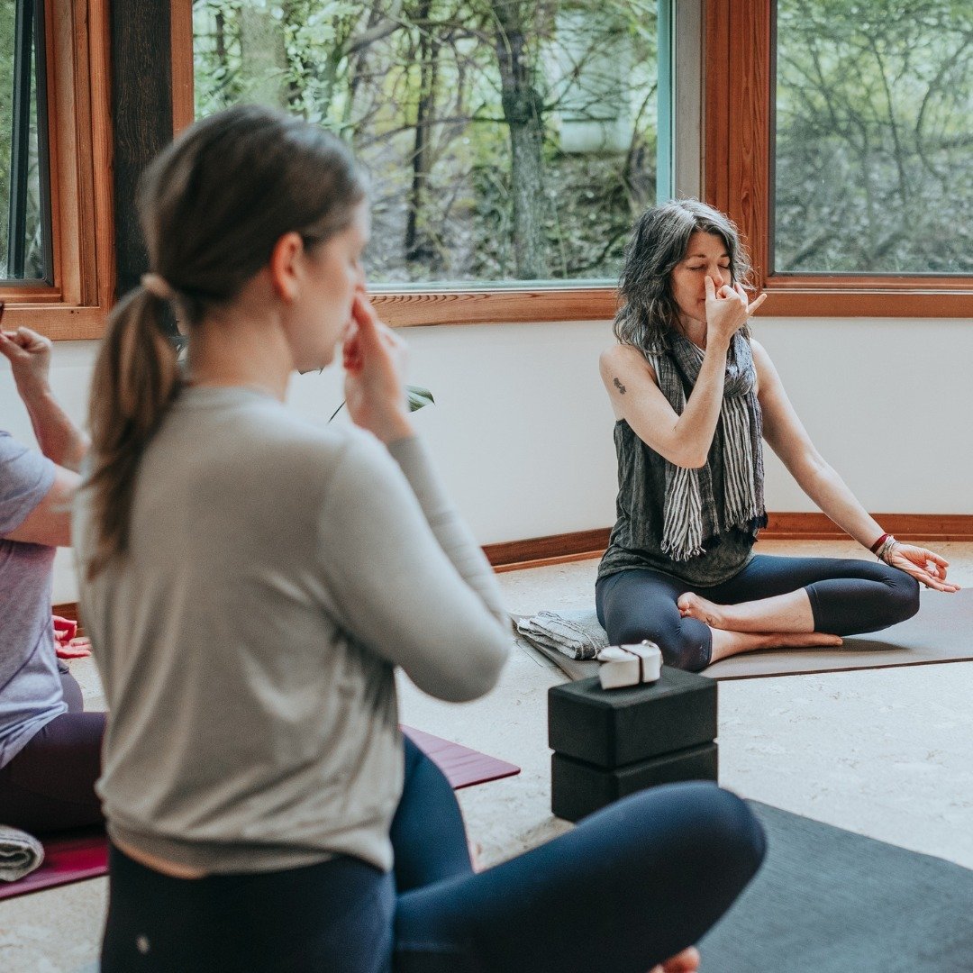Introducing &quot;The Breath Collection&quot; &ndash; a special offering for the month of April. Your gateway to vitality, balance, and renewal!

Dive into a curated selection of videos that harness the power of the breath to nourish your mind, body,
