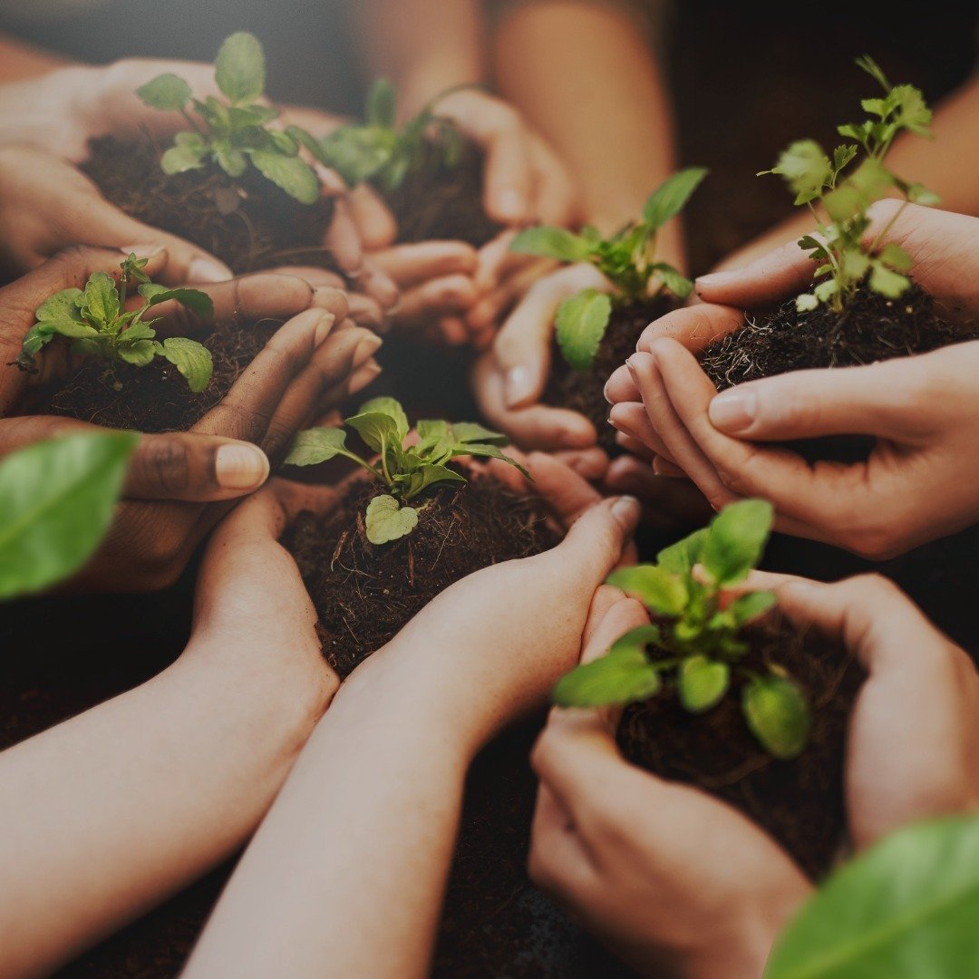 Join us in celebrating Earth Day by participating in our upcoming Garlic Mustard Pesto Hike happening this Saturday! 

Explore the bountiful gifts of nature by learning how to make delicious pesto and support a local habitat at the same time.

By joi