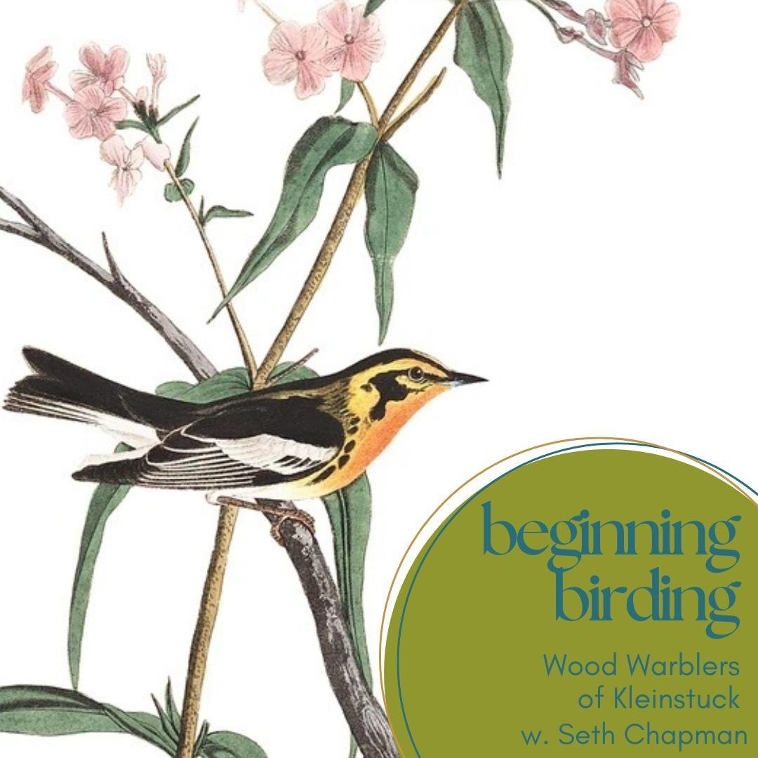 Join Seth Chapman, Apothecary Manger and experienced birder, on a birdwatching hike through Kleinstuck Preserve on Saturday, May 11!

Mid-May is peak migration season in southwest Michigan, and many of the species that can be seen in Kleinstuck at th