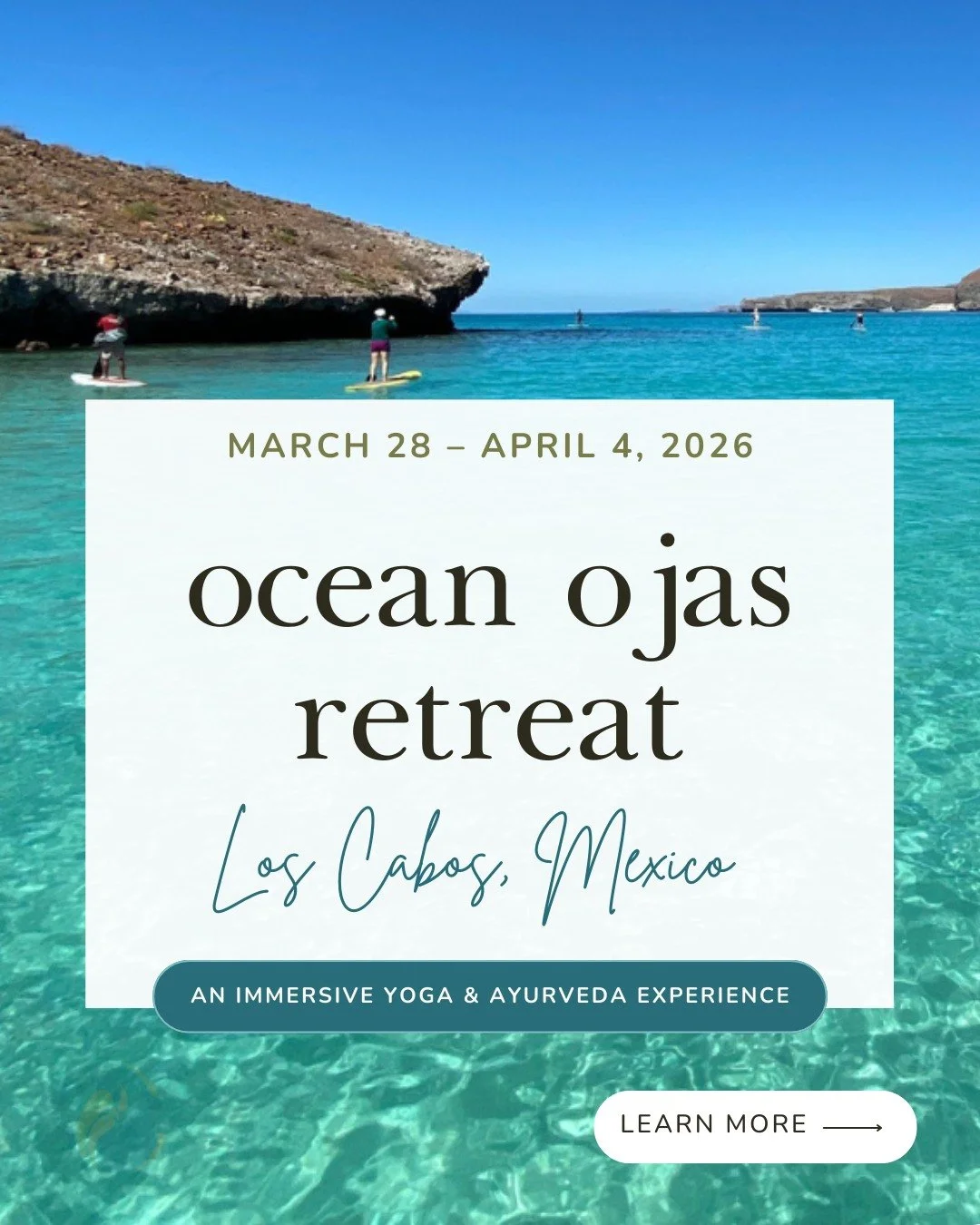 Imagine days shaped by rest, presence, and care. Rising with the sun, moving gently and intentionally, savoring each meal, and breathing in time with the ocean&rsquo;s steady rhythm.

Ocean Ojas: A Deep Rejuvenation Retreat invites you to 8 days of d