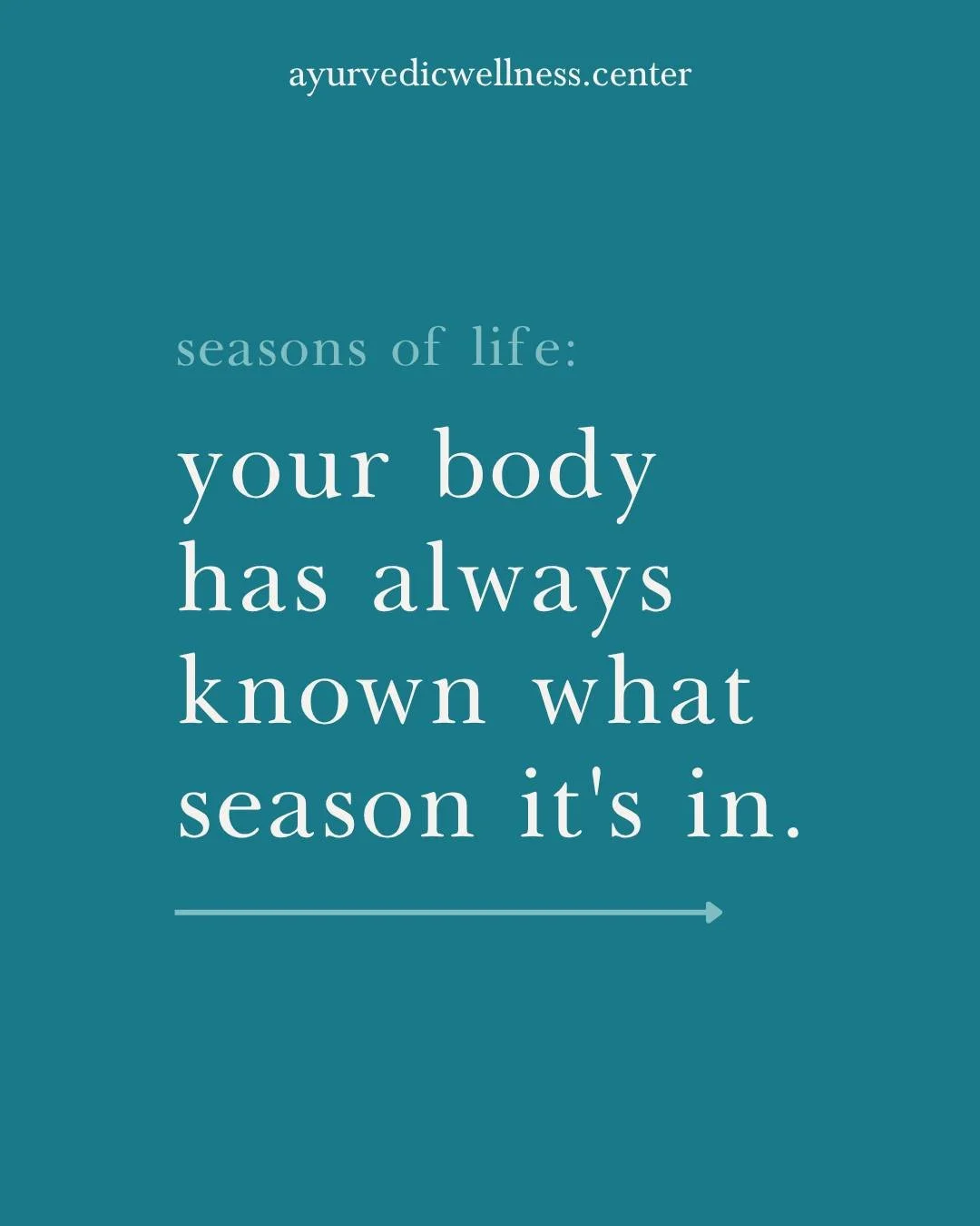 Ayurveda maps three phases of life, each with its own qualities and its own needs. What supports you in one phase may not serve you in another. That's not a problem. That's a map.
ㅤ
Understanding which season you're in changes everything about how we